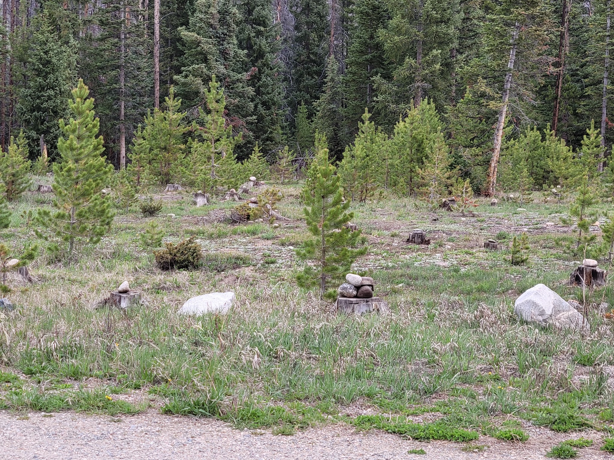 Sugarloaf Campground