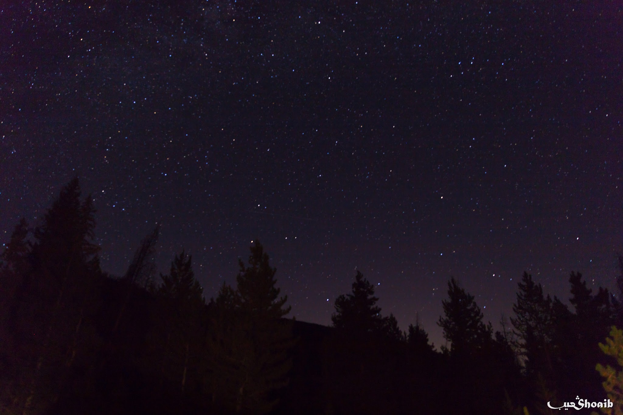 Sugarloaf Campground