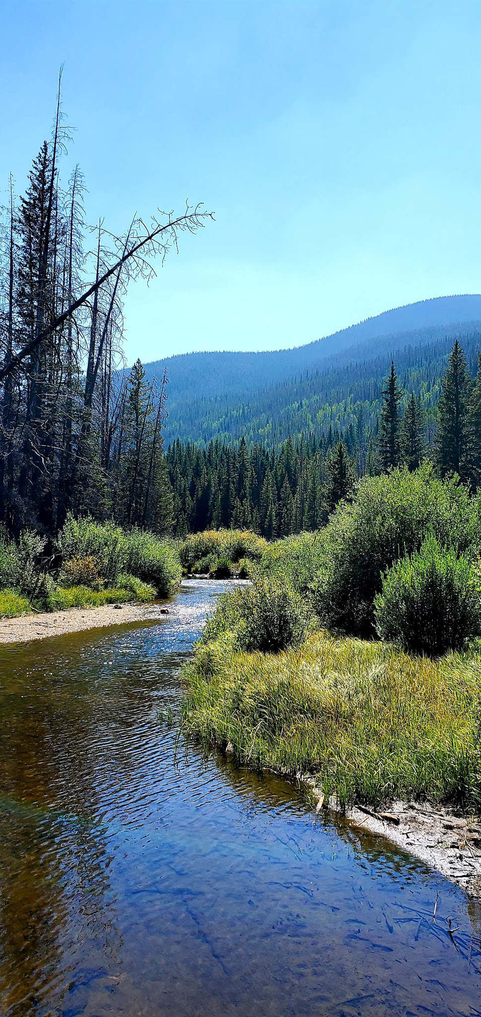 Sugarloaf Campground