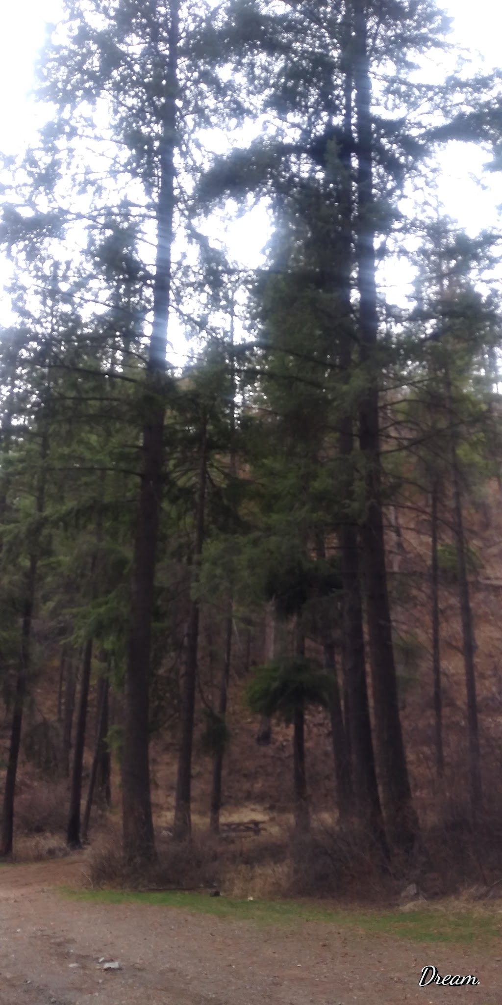 Sugarloaf Campground