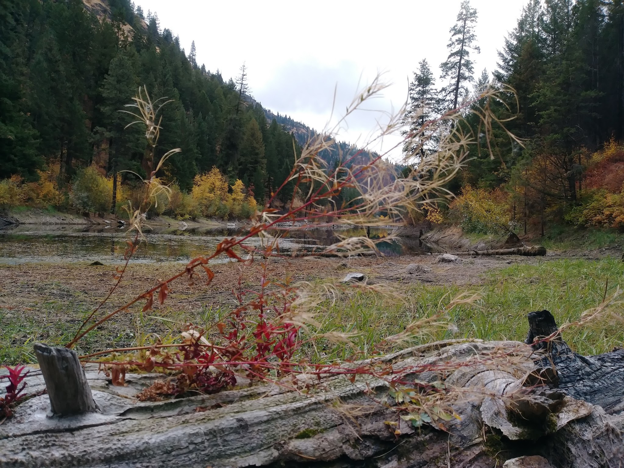 Sugarloaf Campground