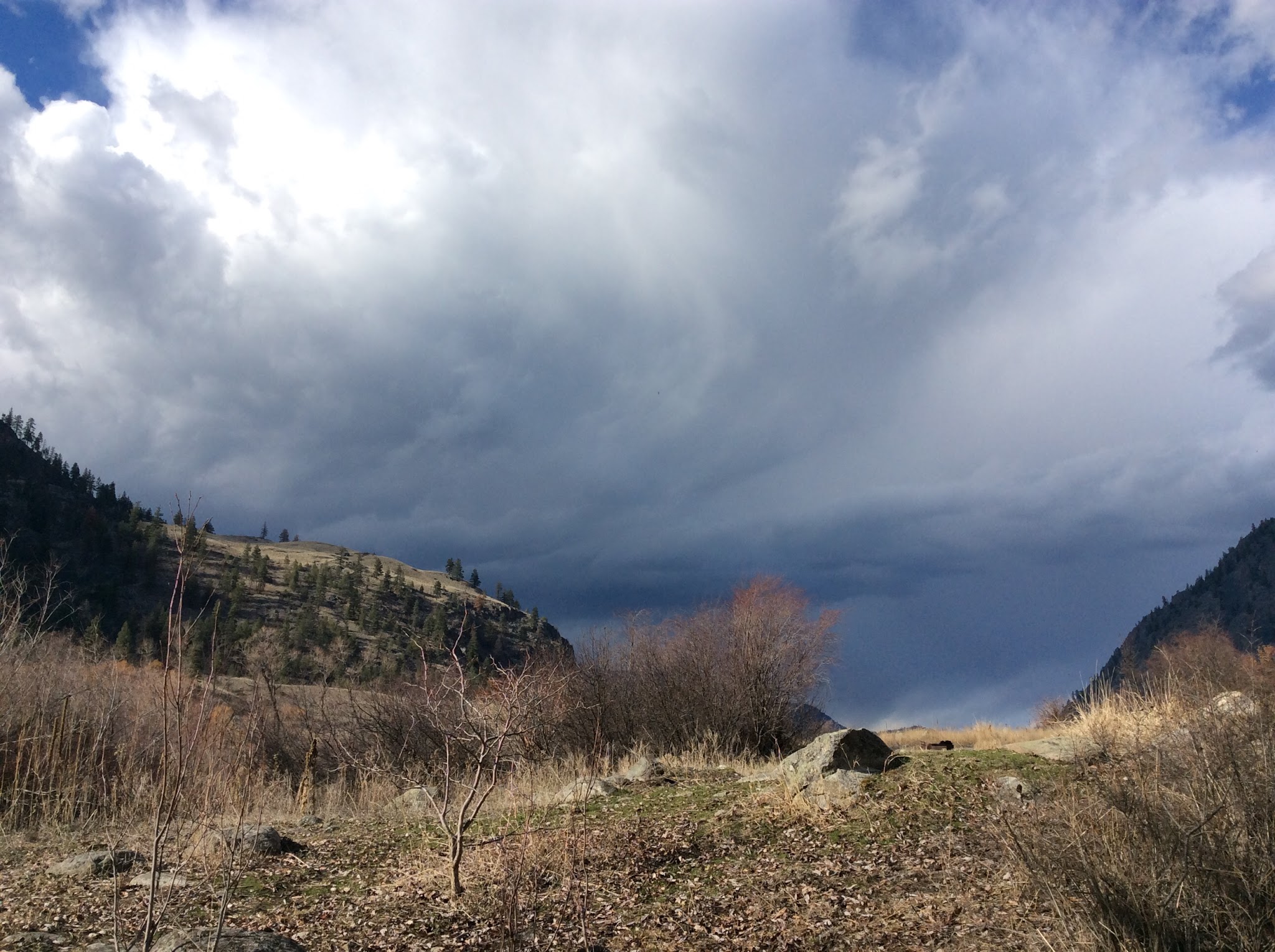 Sugarloaf Campground