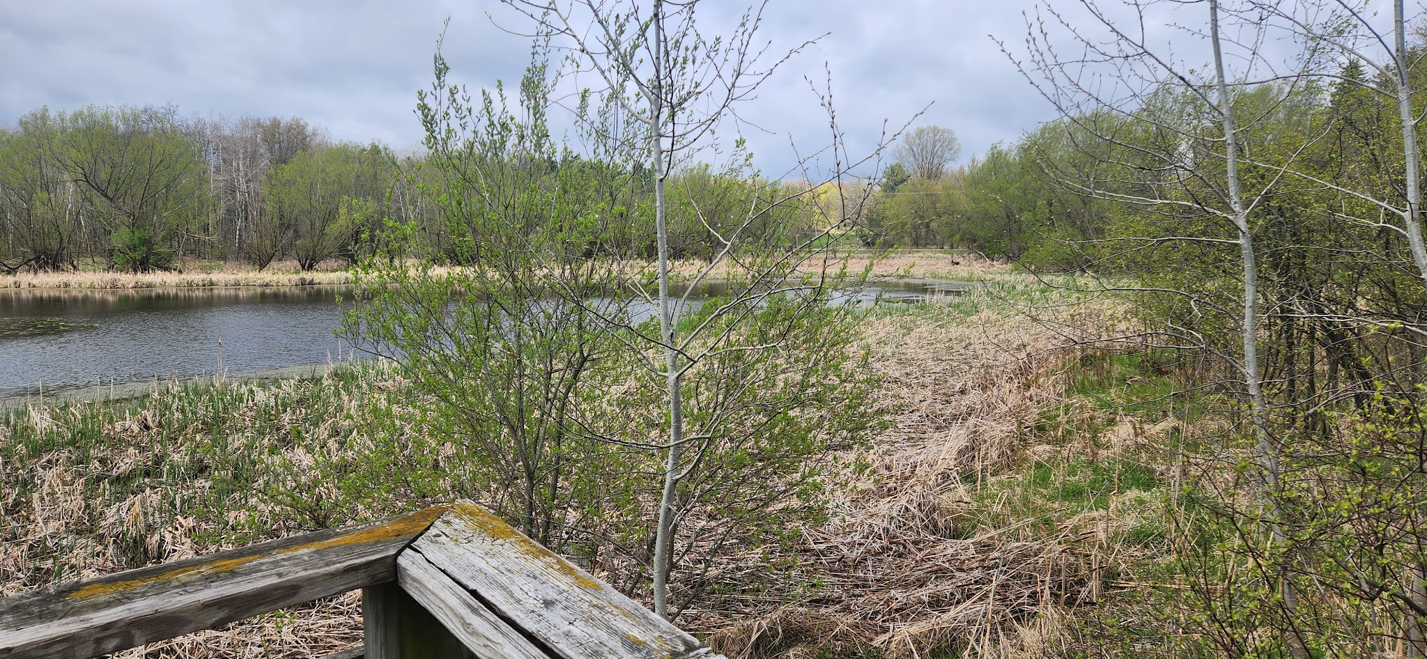 Glacial Drumlin State Trail