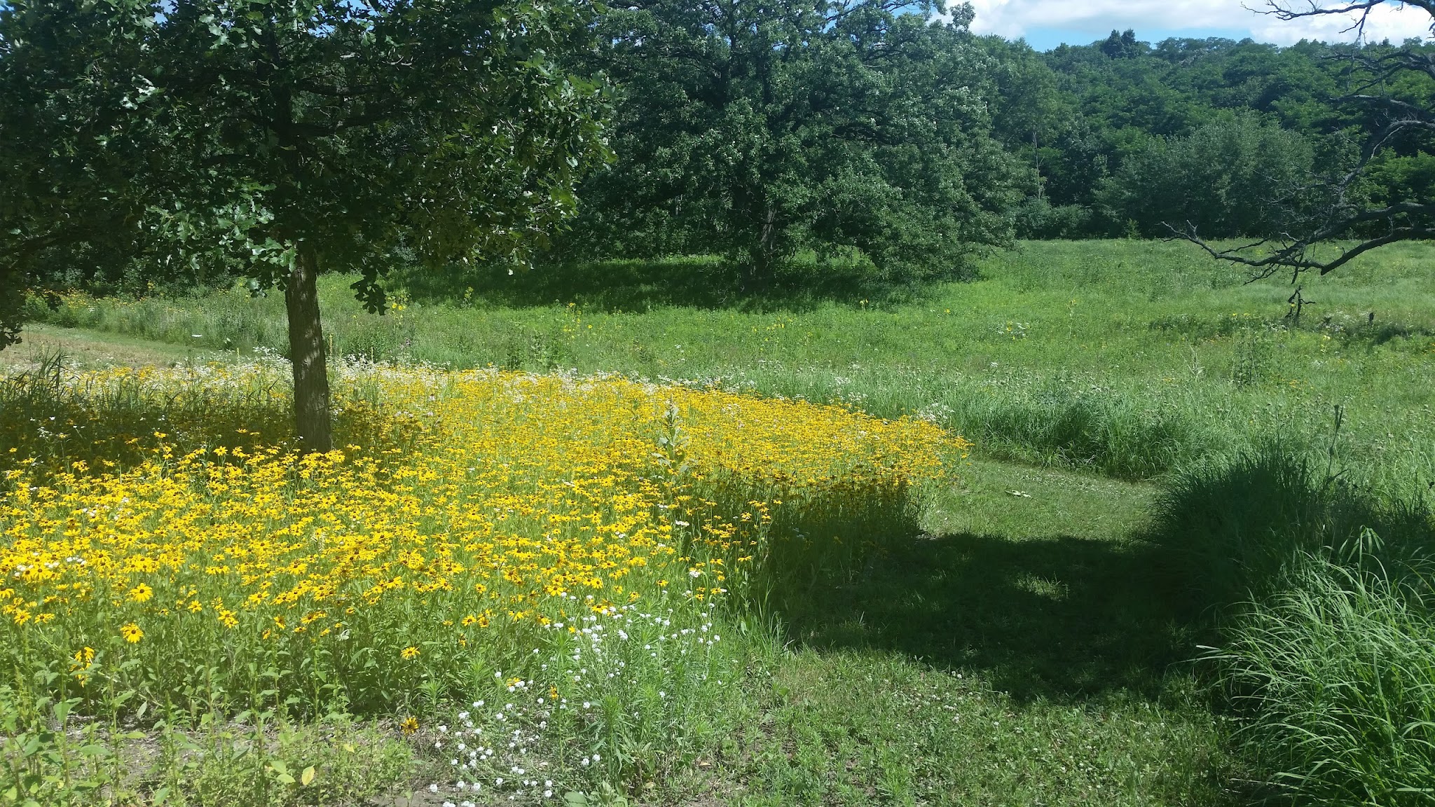 Glacial Drumlin State Trail