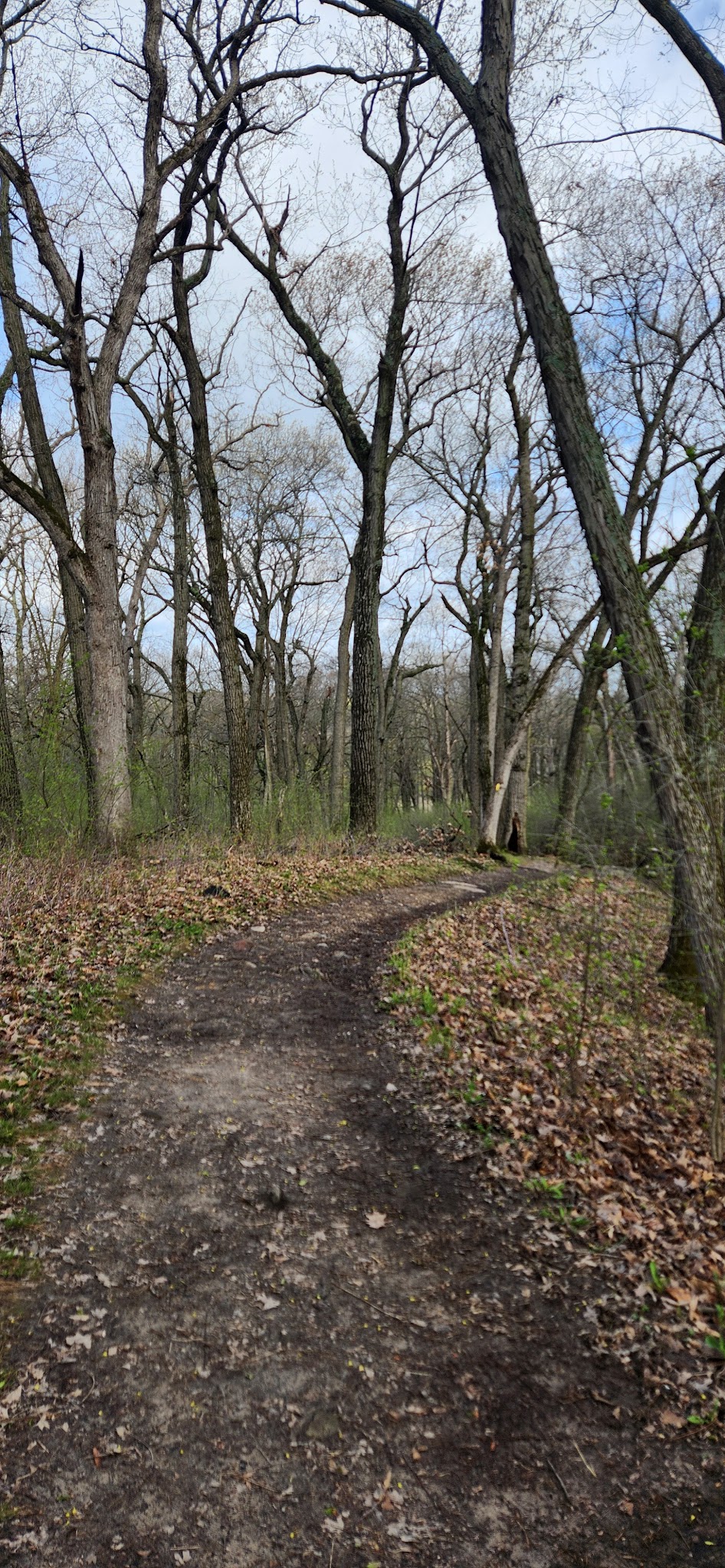 Glacial Drumlin State Trail