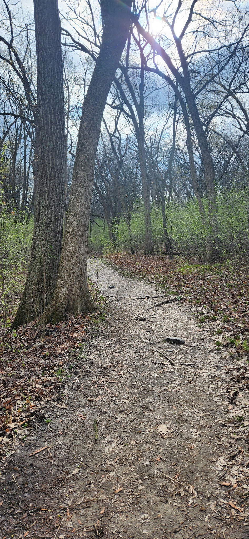 Glacial Drumlin State Trail