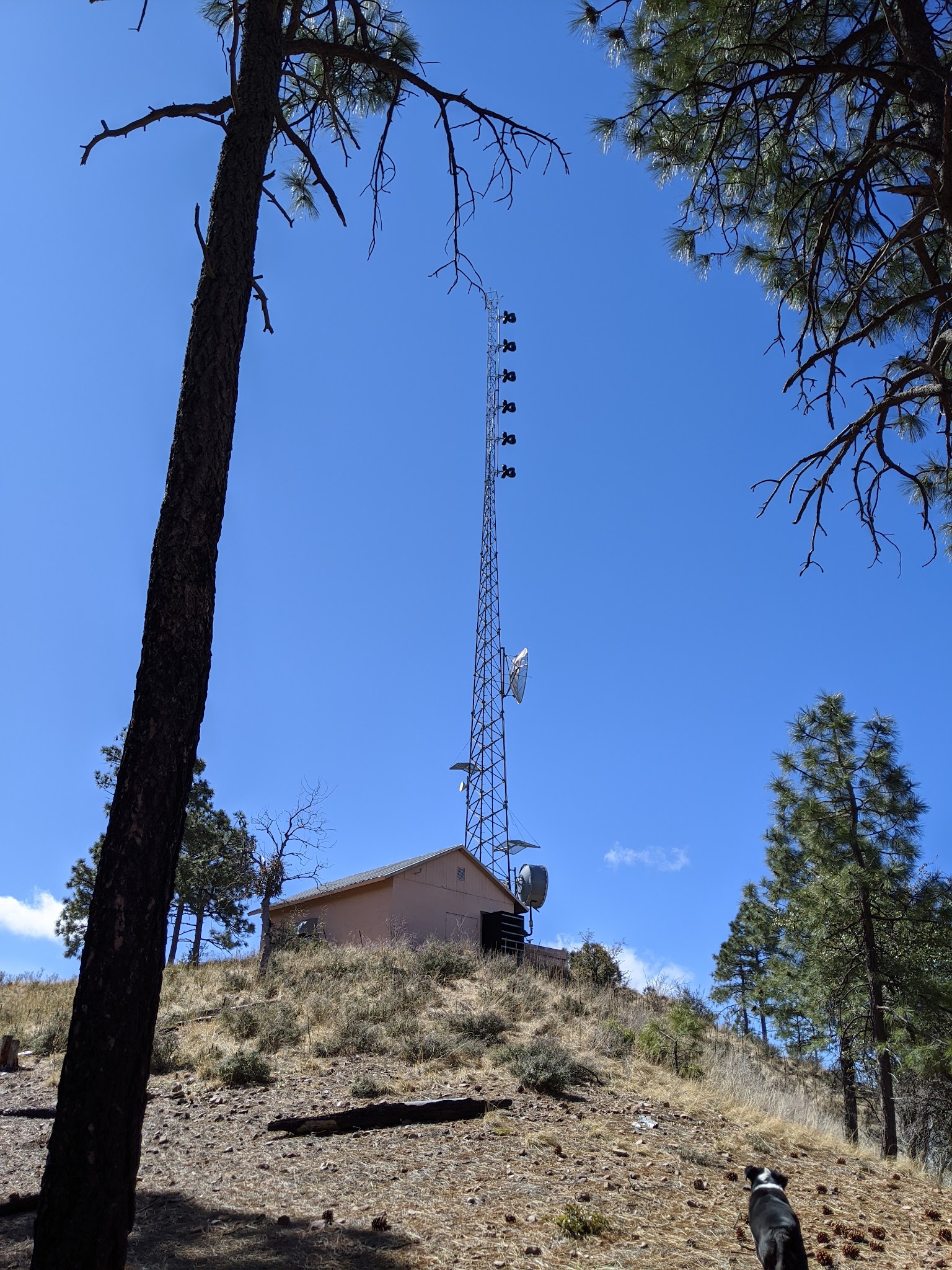 Sulphide Del Rey Campground