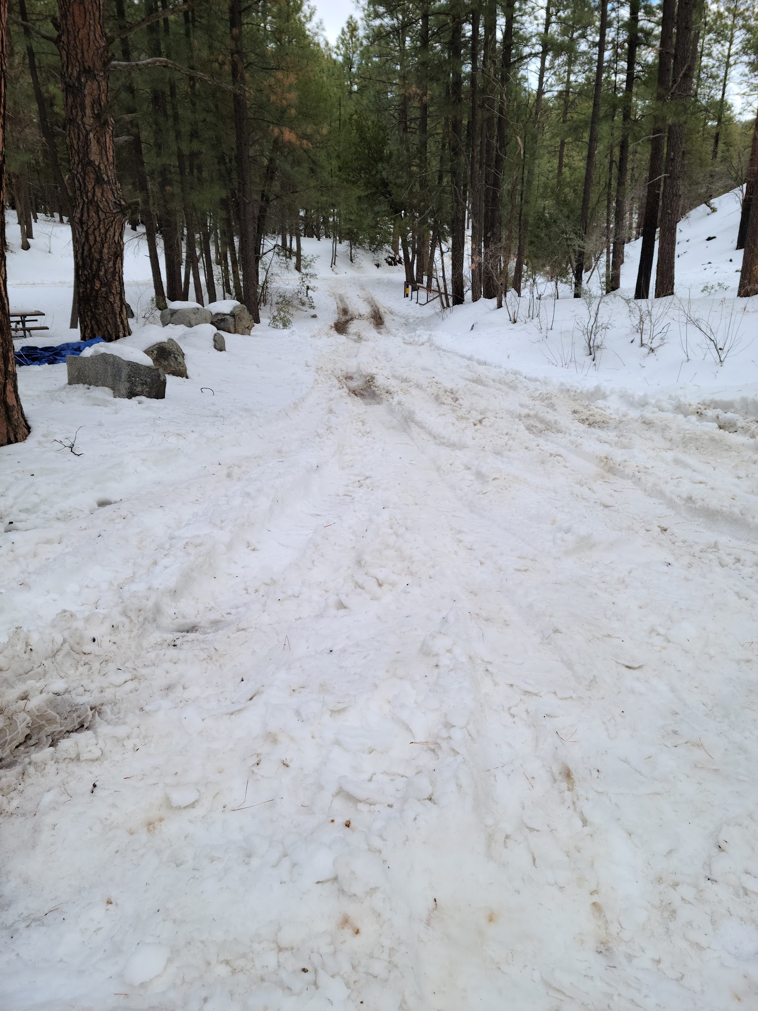 Sulphide Del Rey Campground