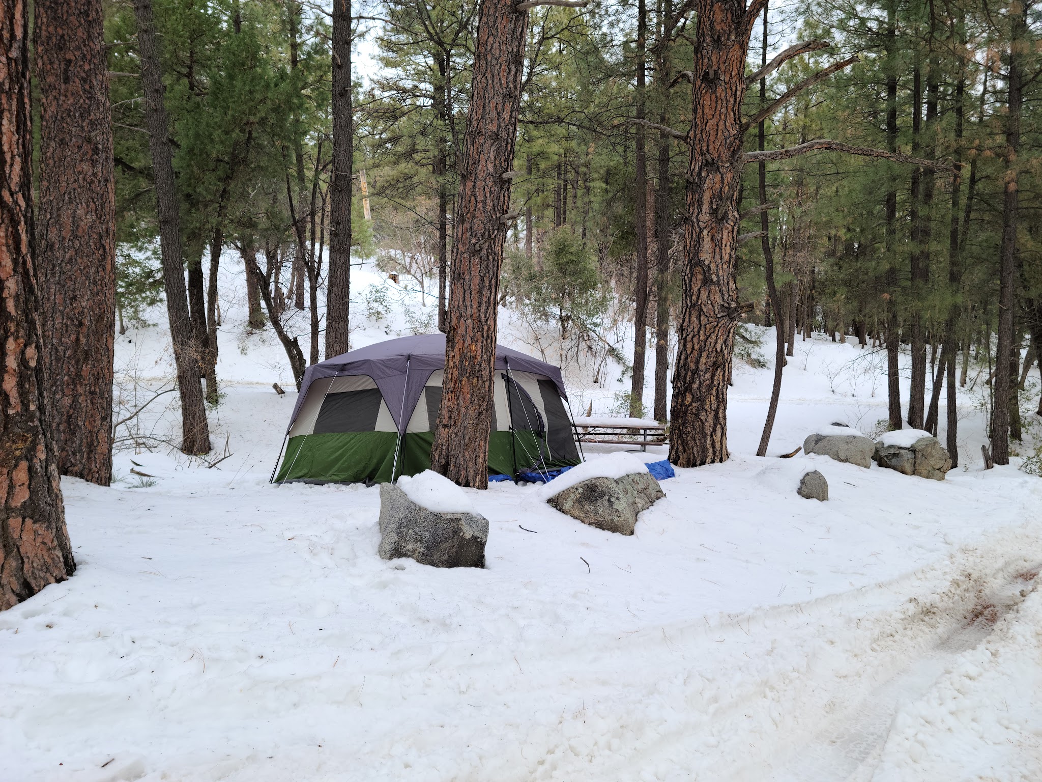 Sulphide Del Rey Campground