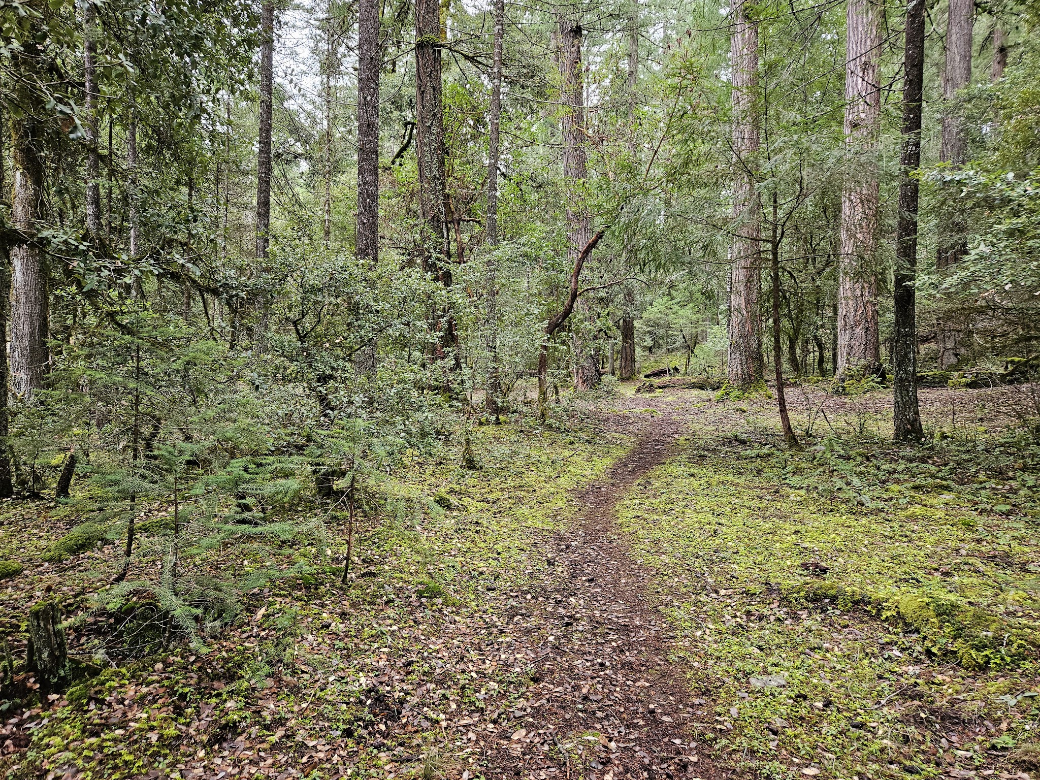 Sulphur Springs Campground