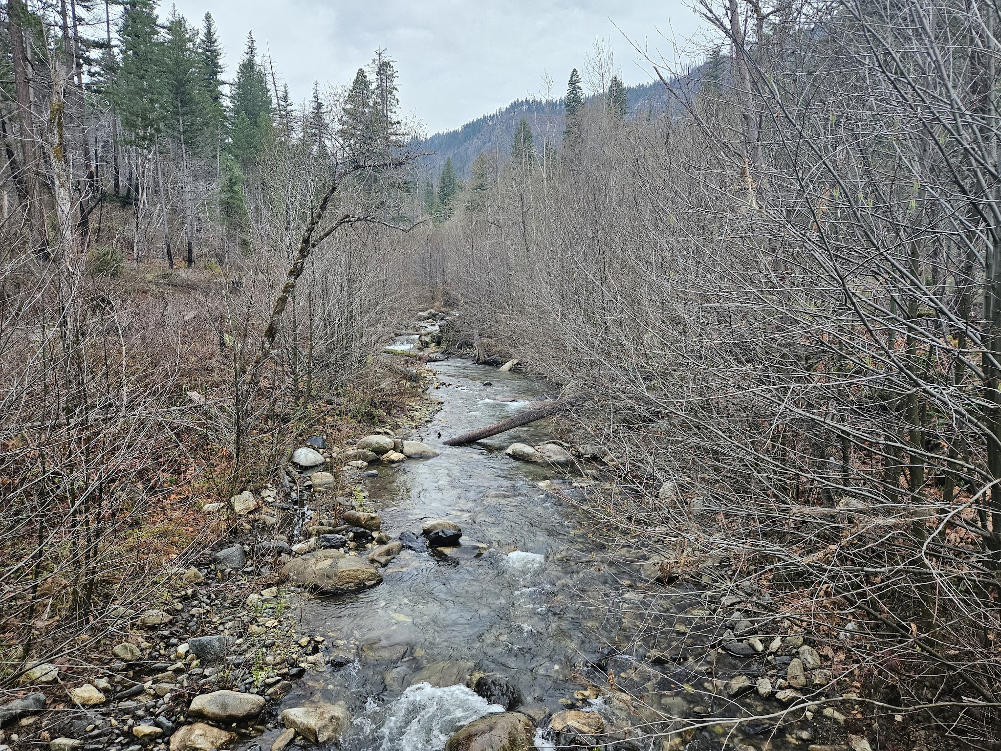 Sulphur Springs Campground