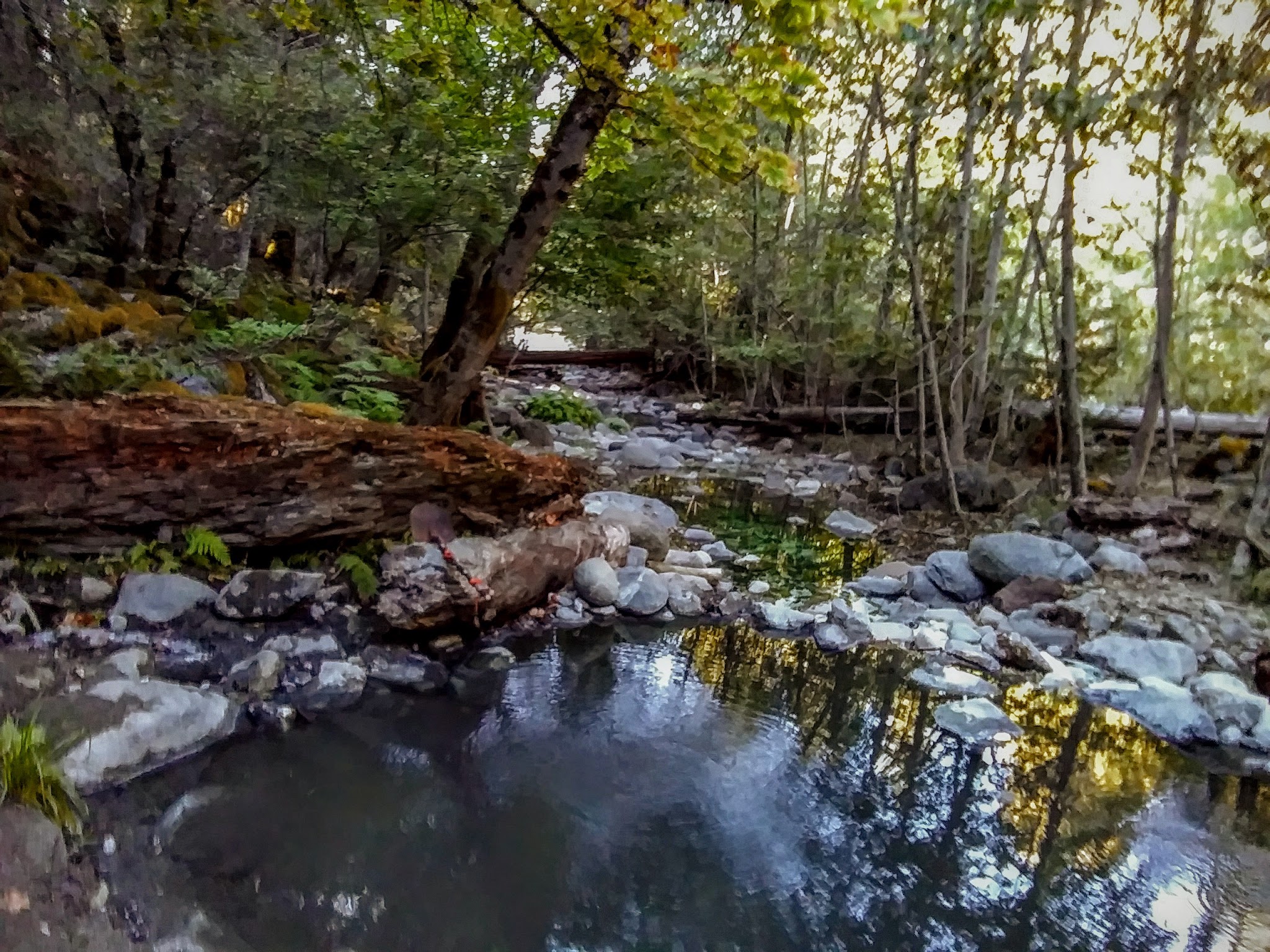Sulphur Springs Campground