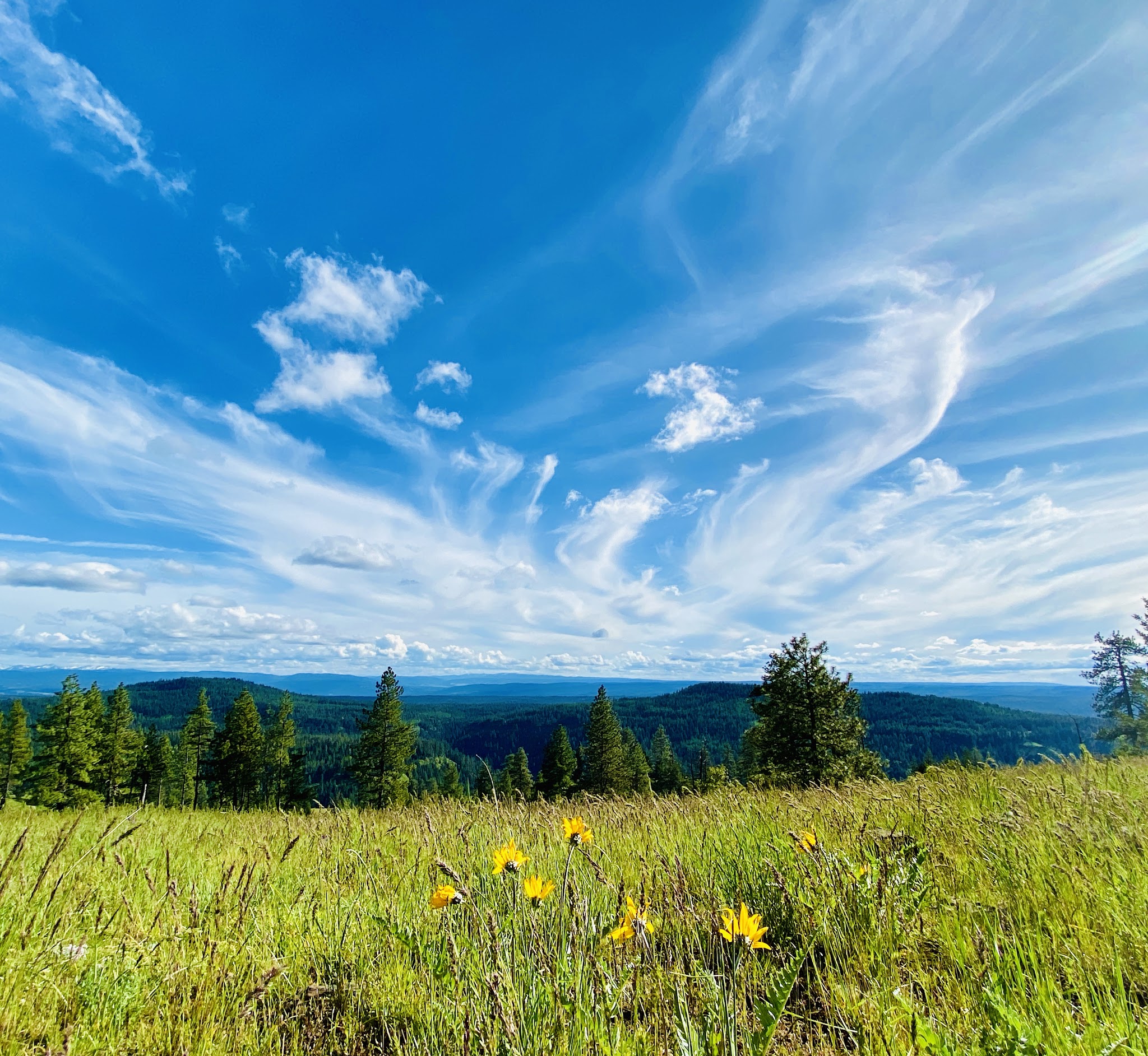 Hidden gem campgrounds in Oregon