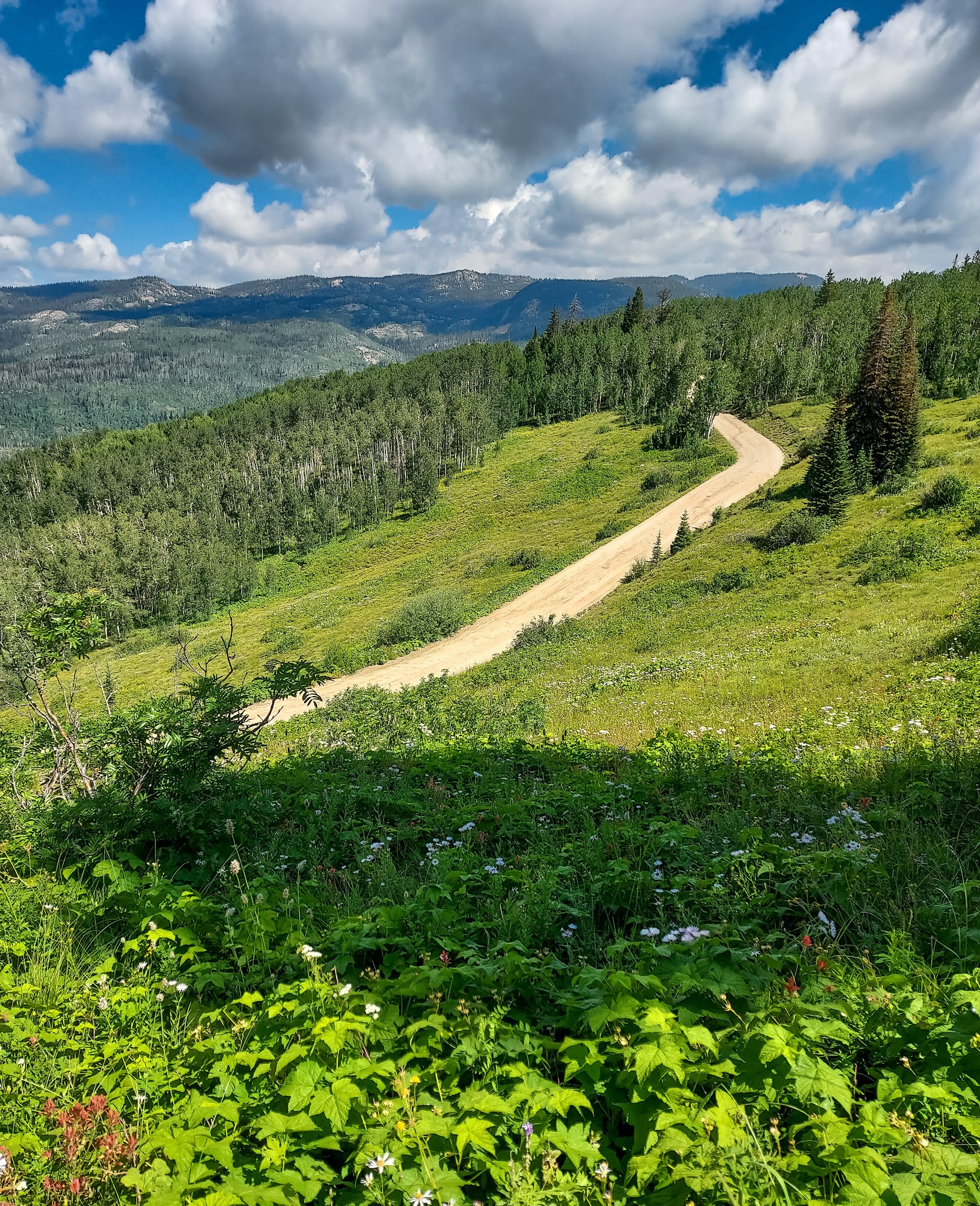 Summit Lake Campground