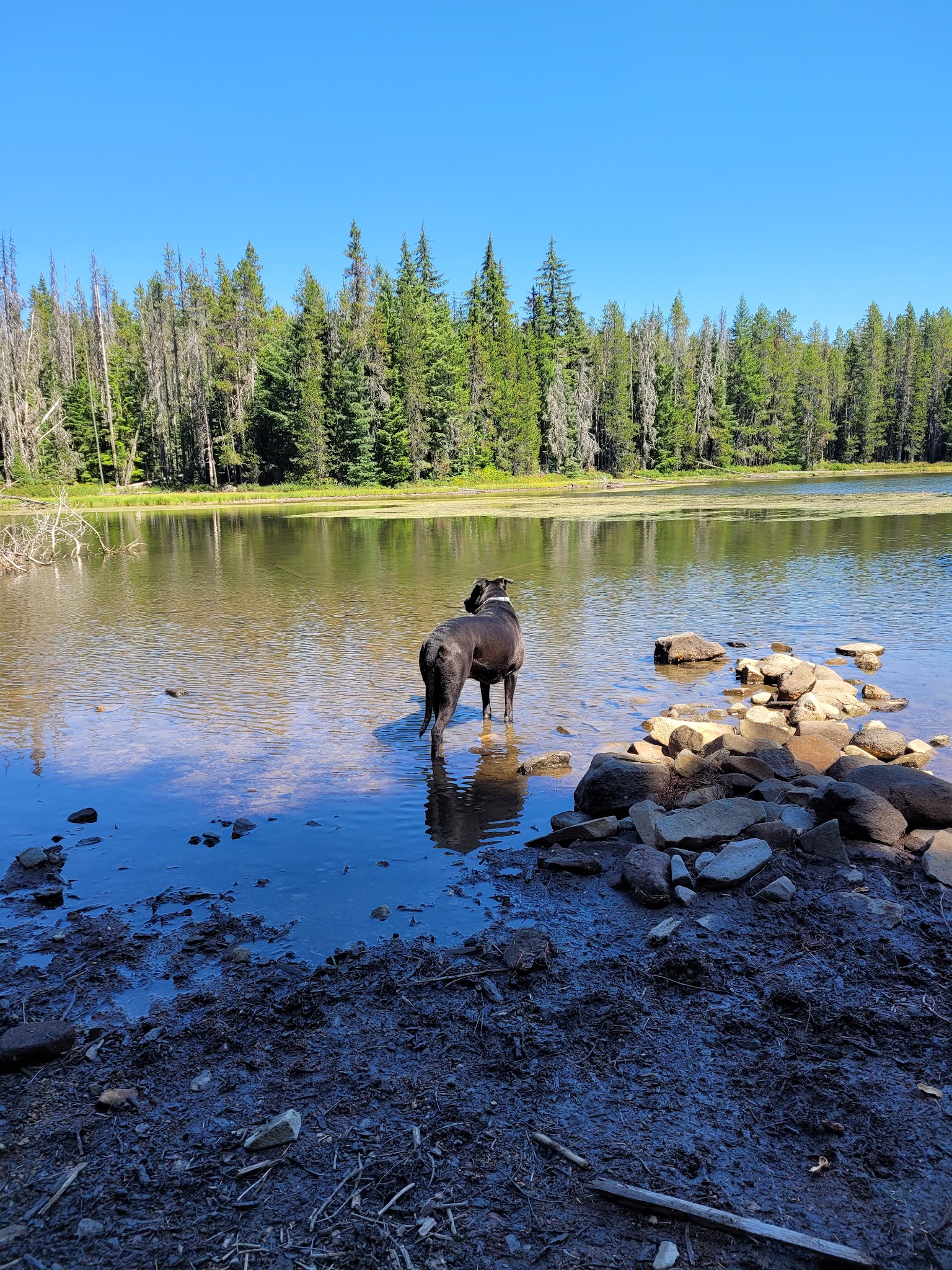Summit Lake Campground