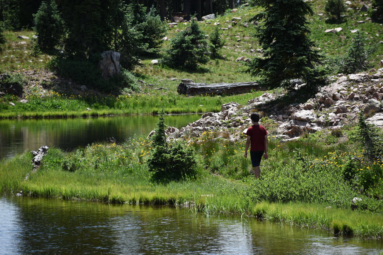 Summit Lake Campground