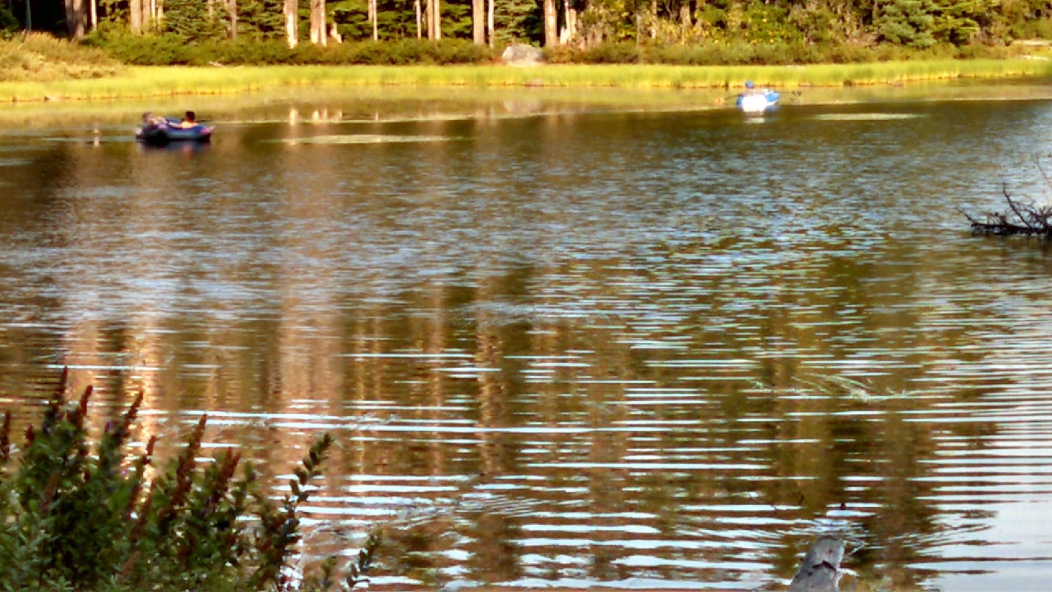 Summit Lake Campground