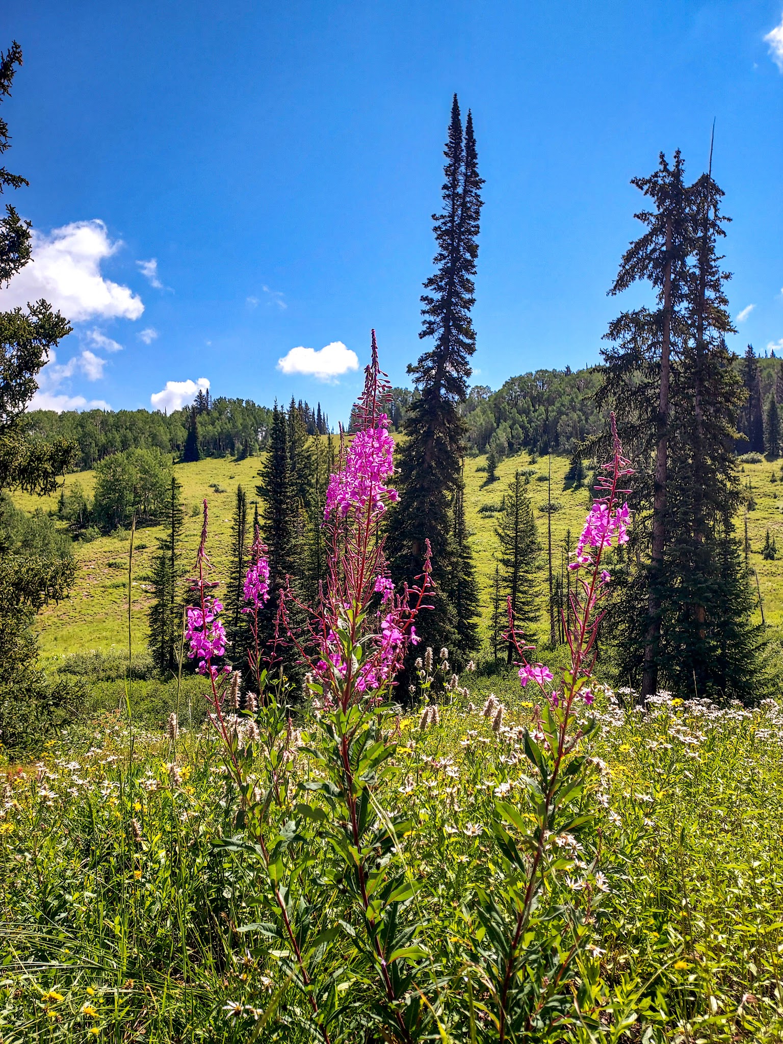 Summit Lake Campground