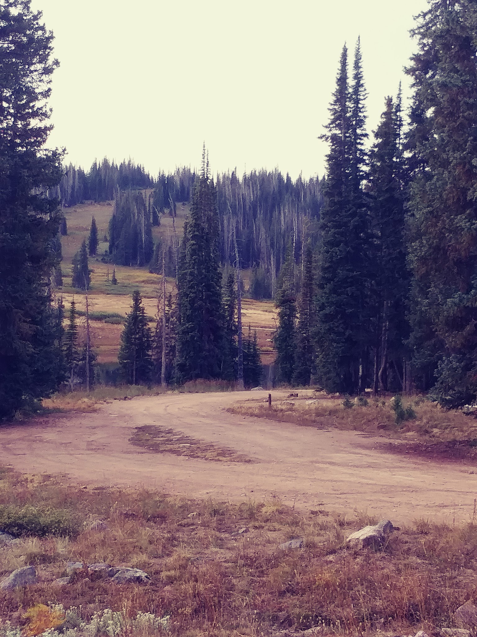 Summit Lake Campground