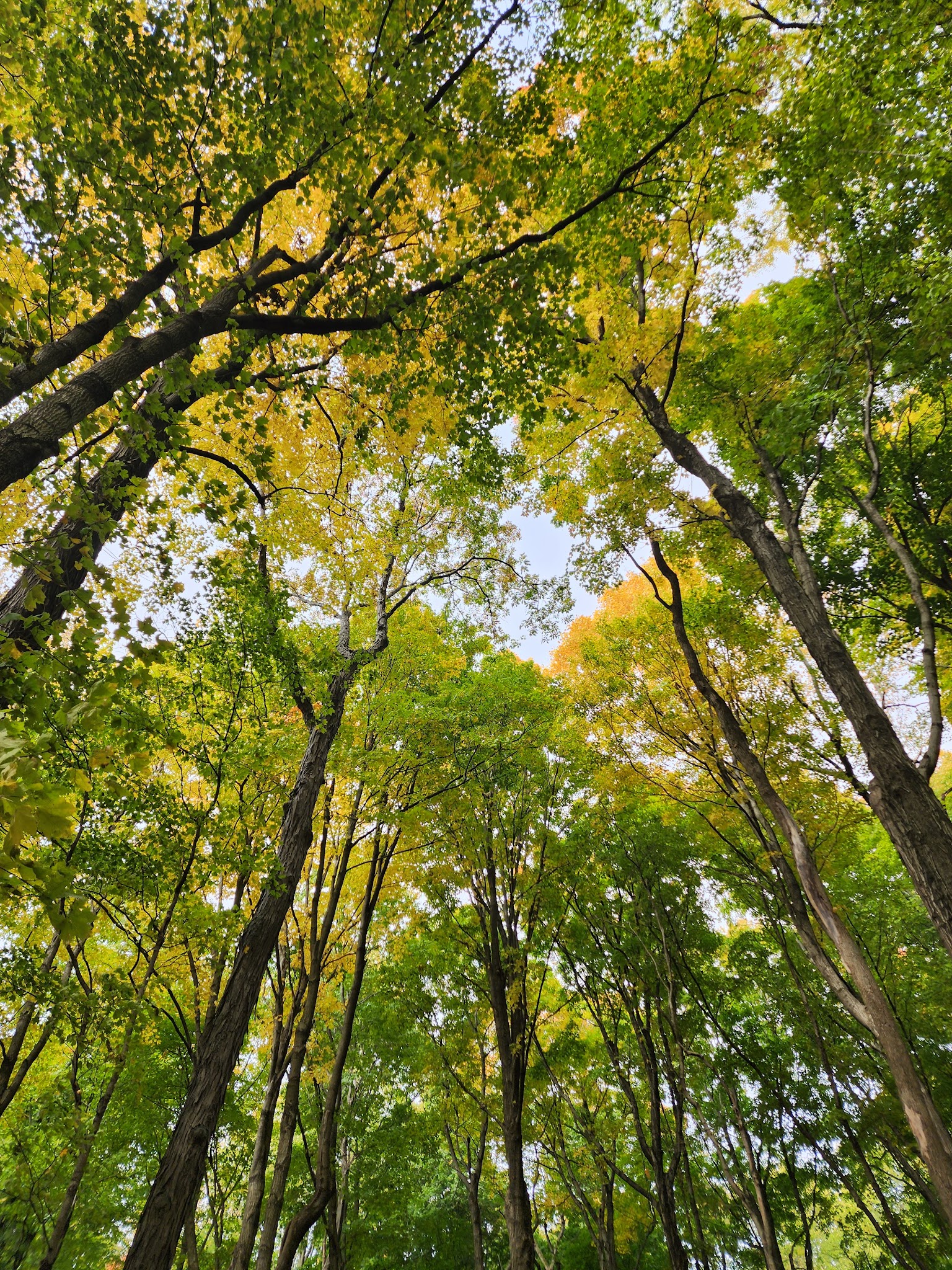 Summit Lake State Park