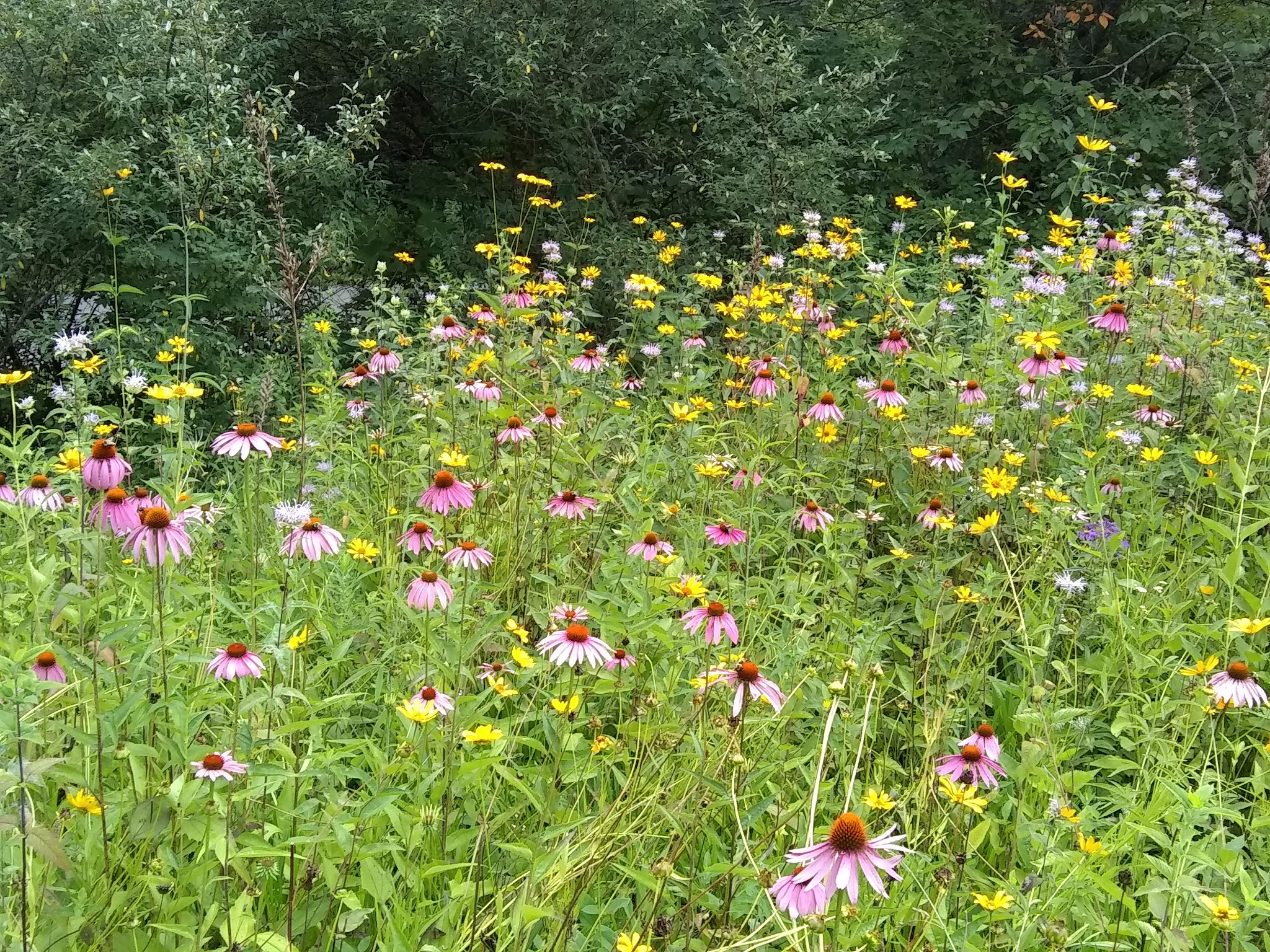 Summit Lake Campground