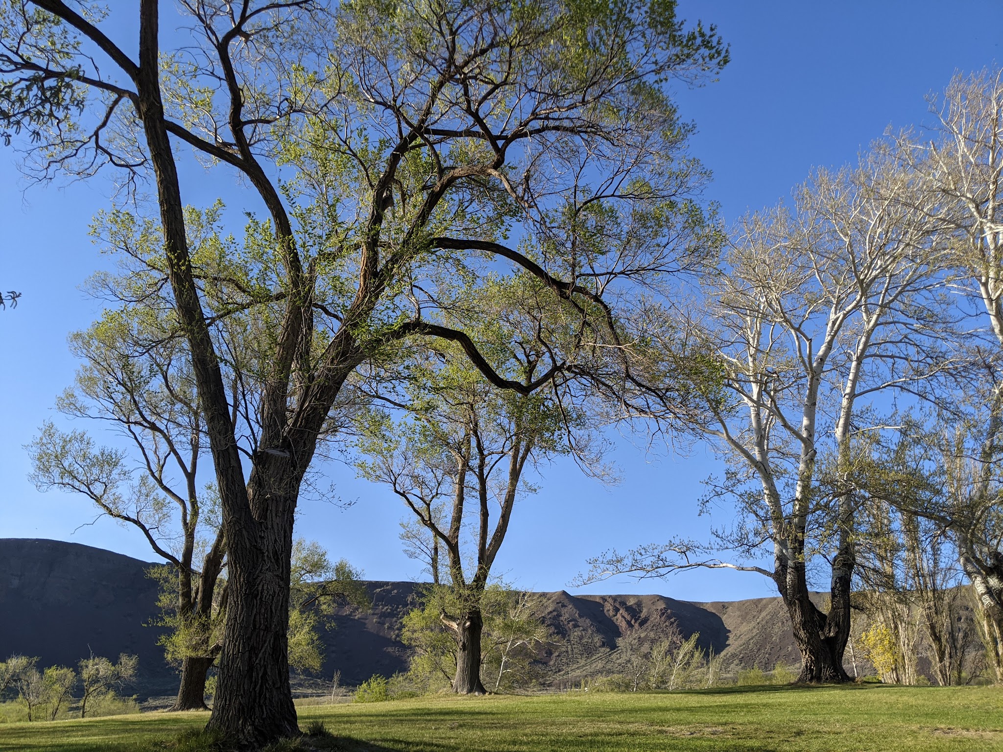 Sun Lakes State Park