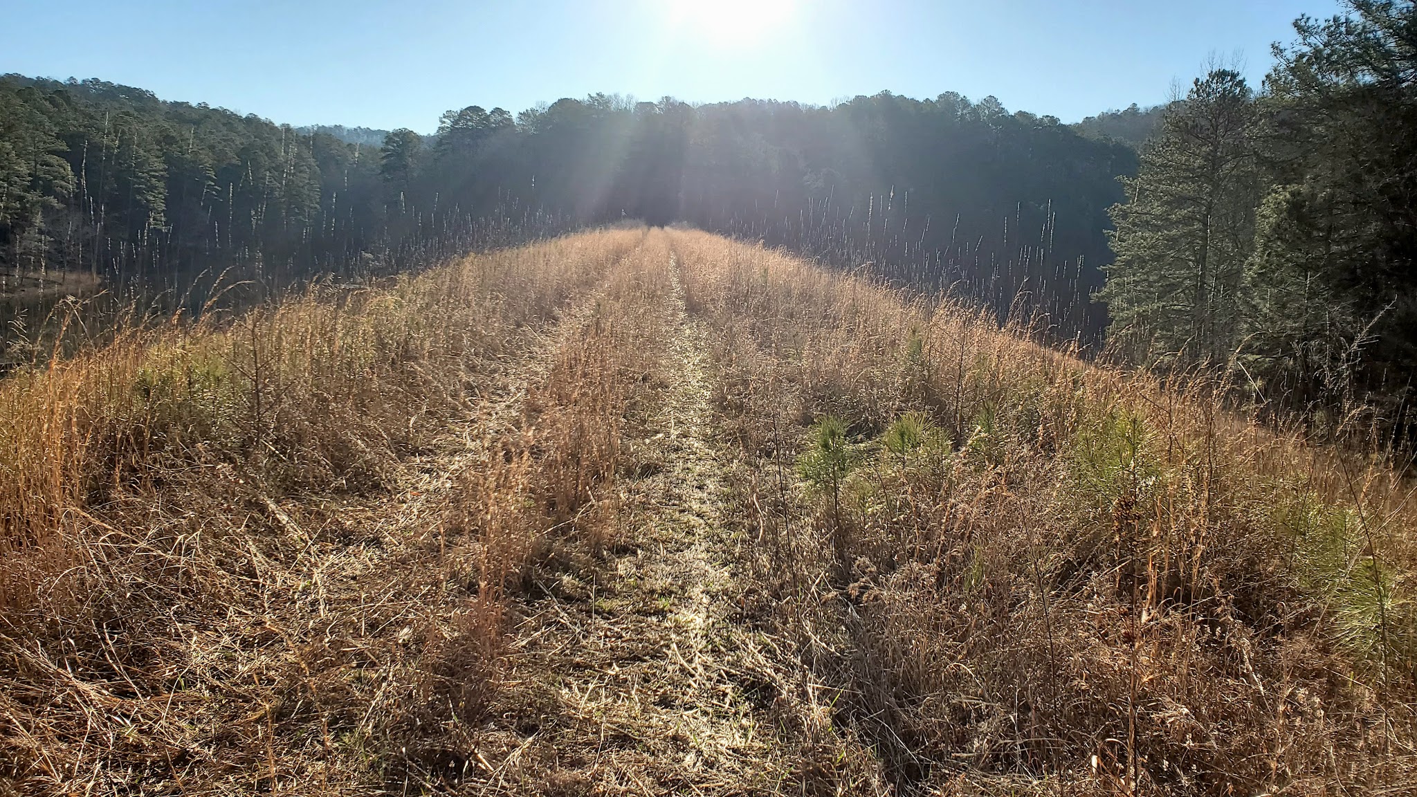 Pine Glen Recreation Area
