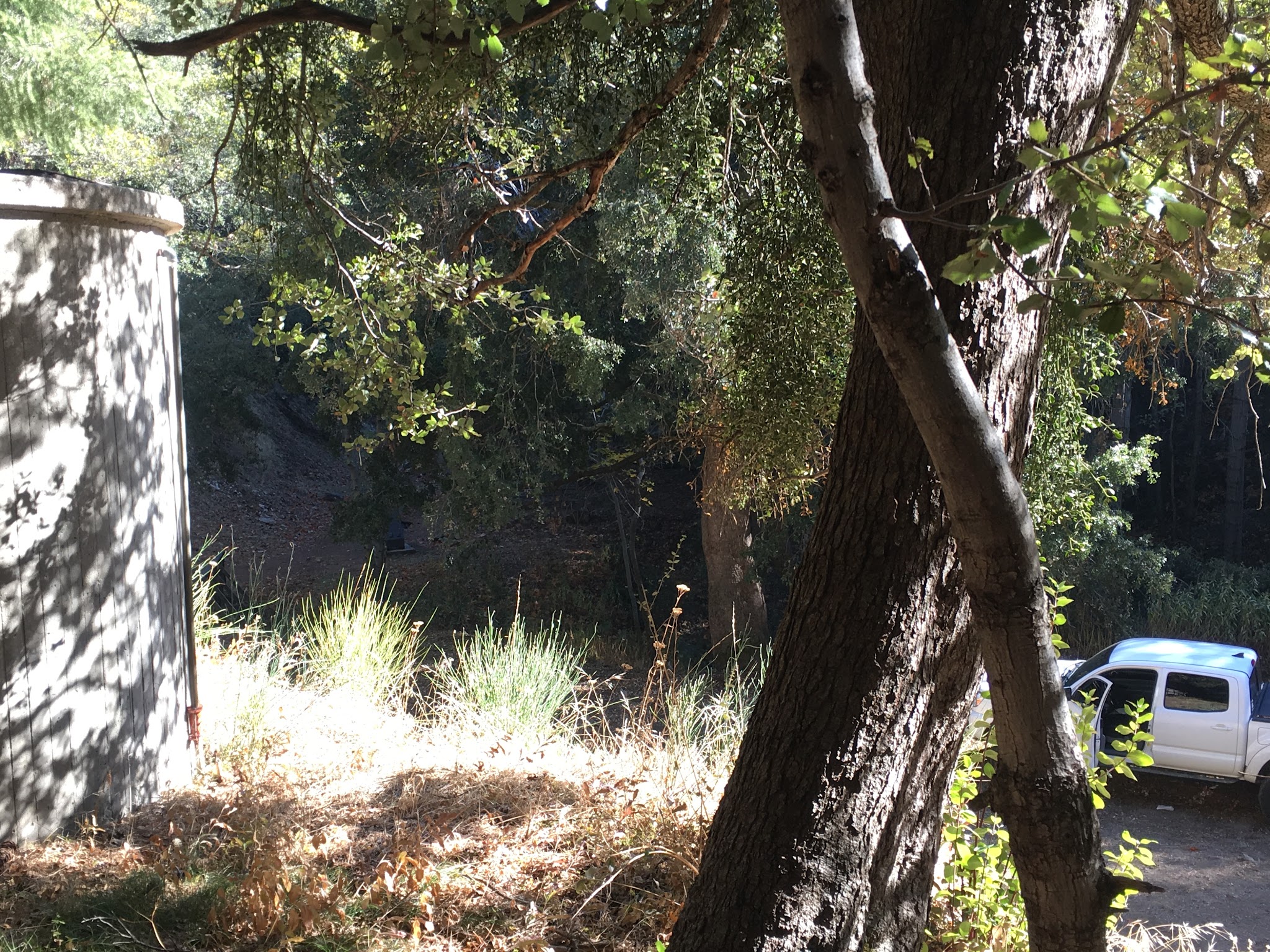 Spring Camp Campground