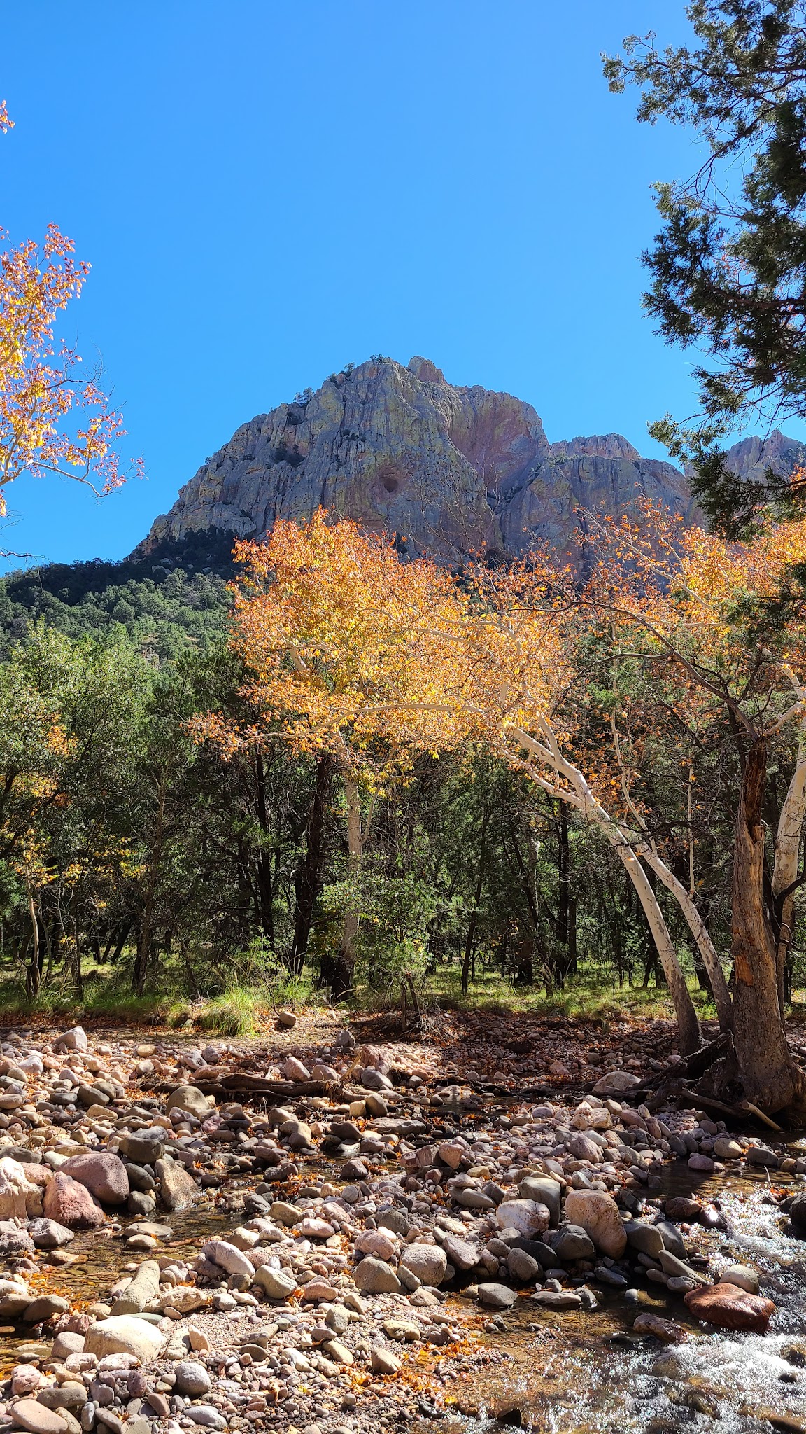 Sunny Flat Campground