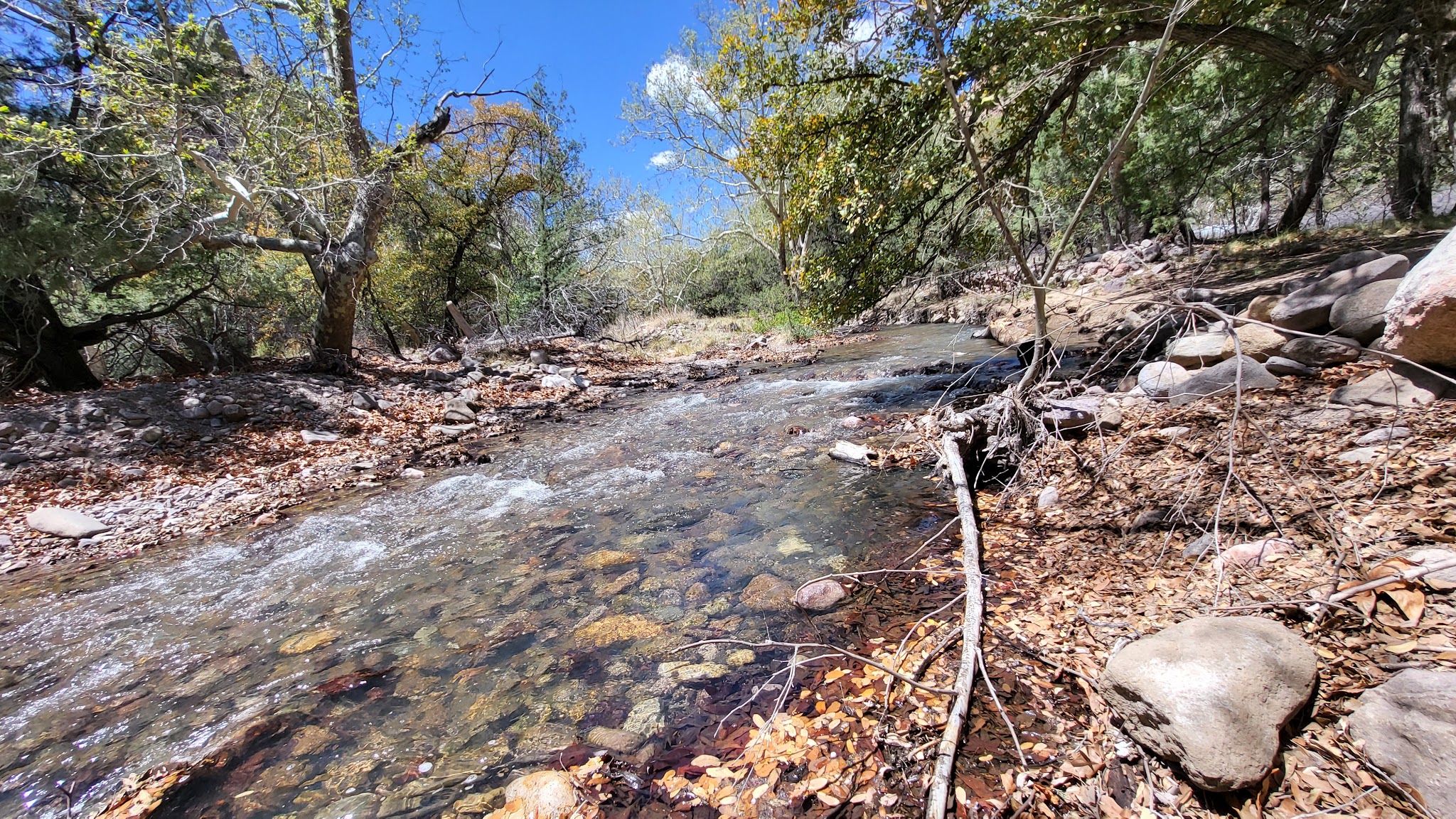 Sunny Flat Campground