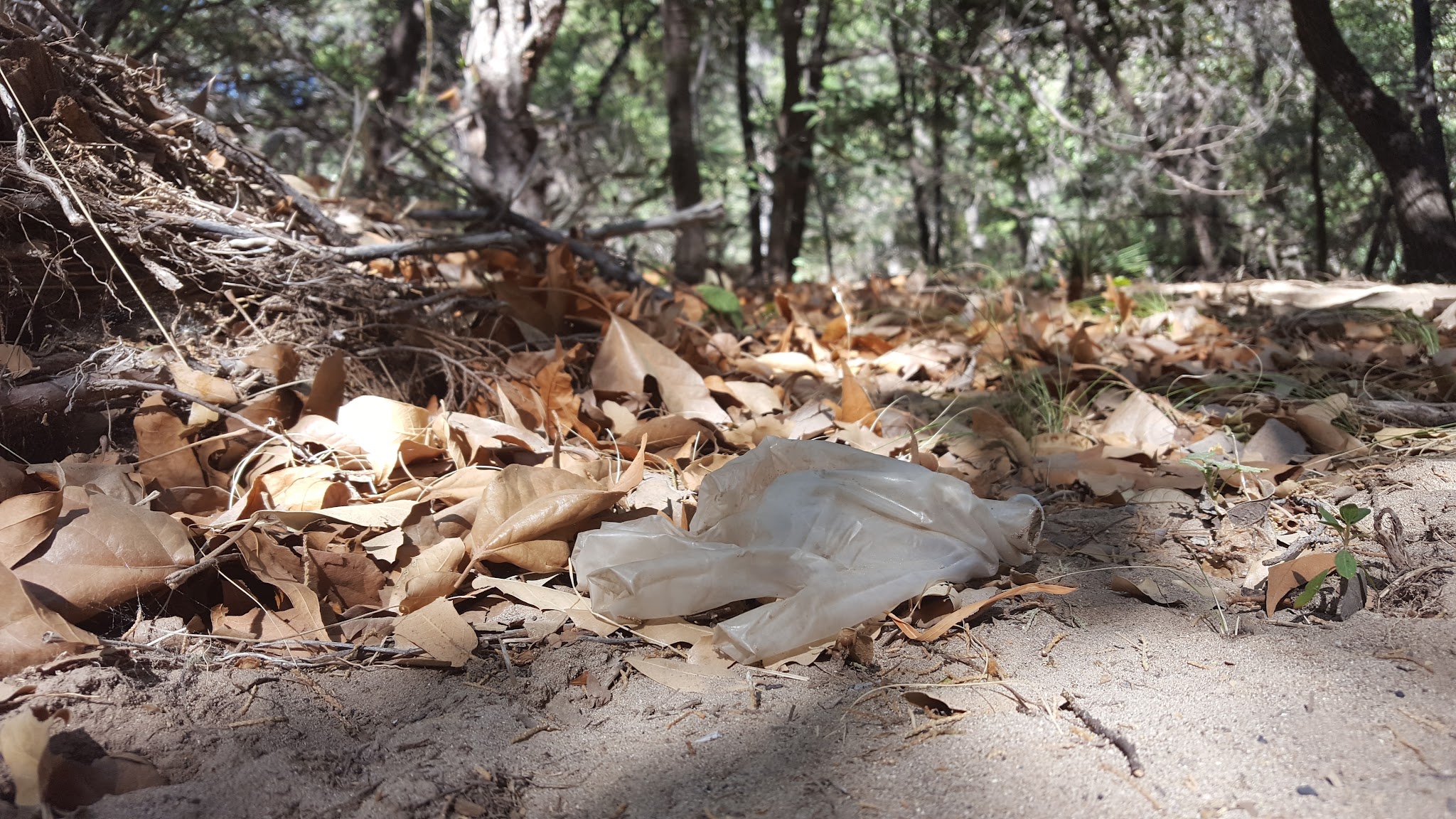 Sunny Flat Campground