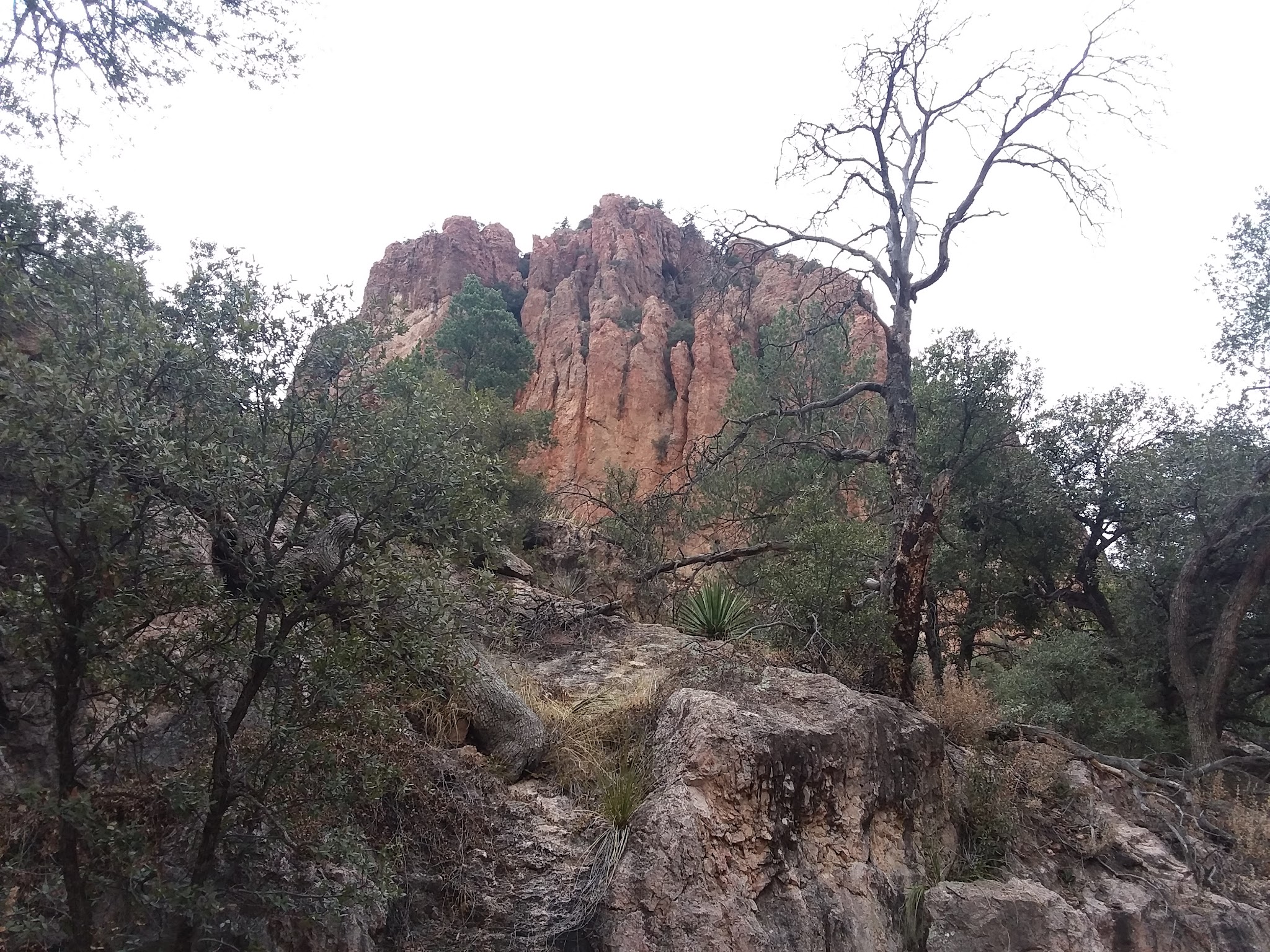 Sunny Flat Campground