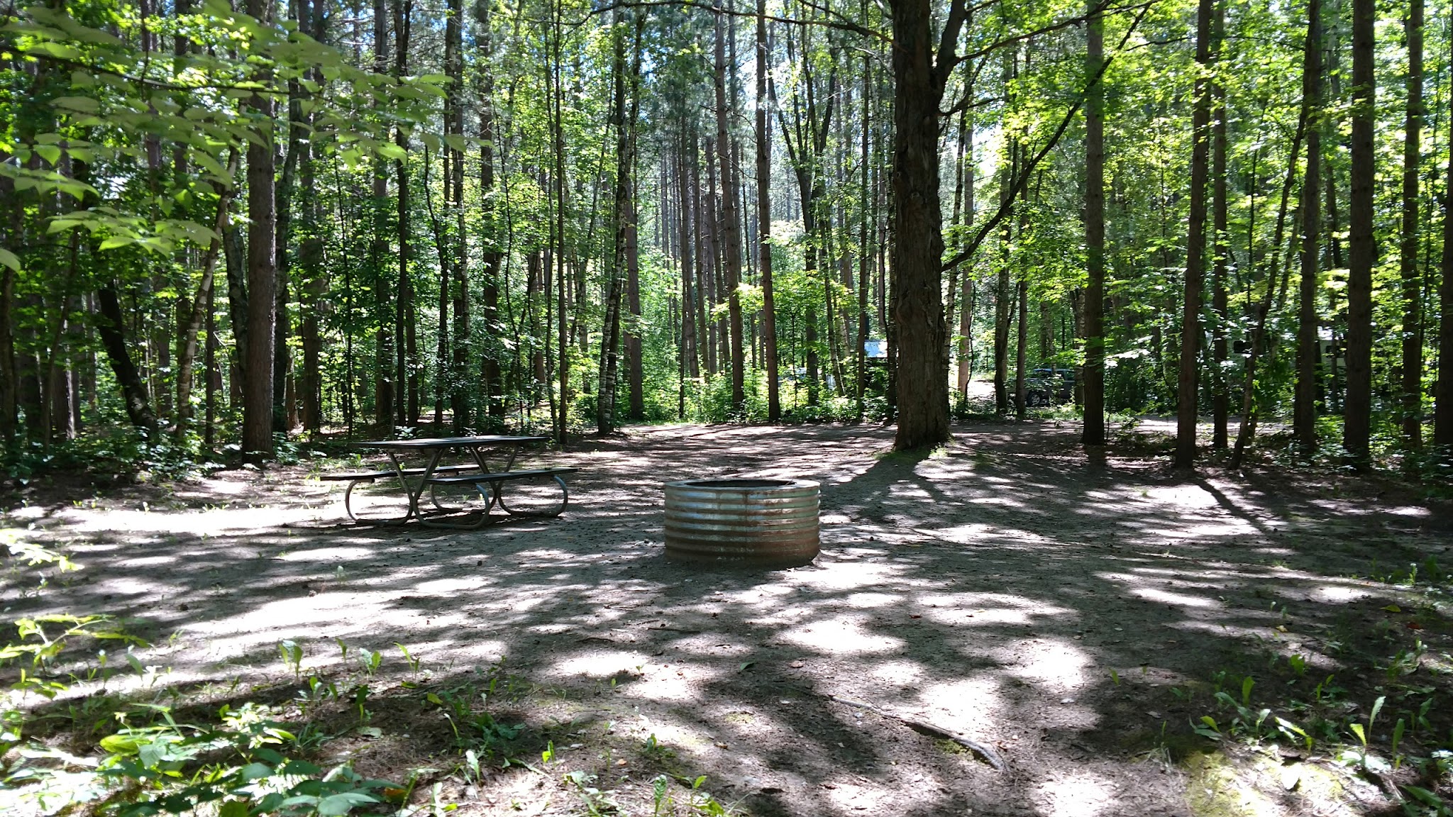 Sunrise Lake State Forest Campground
