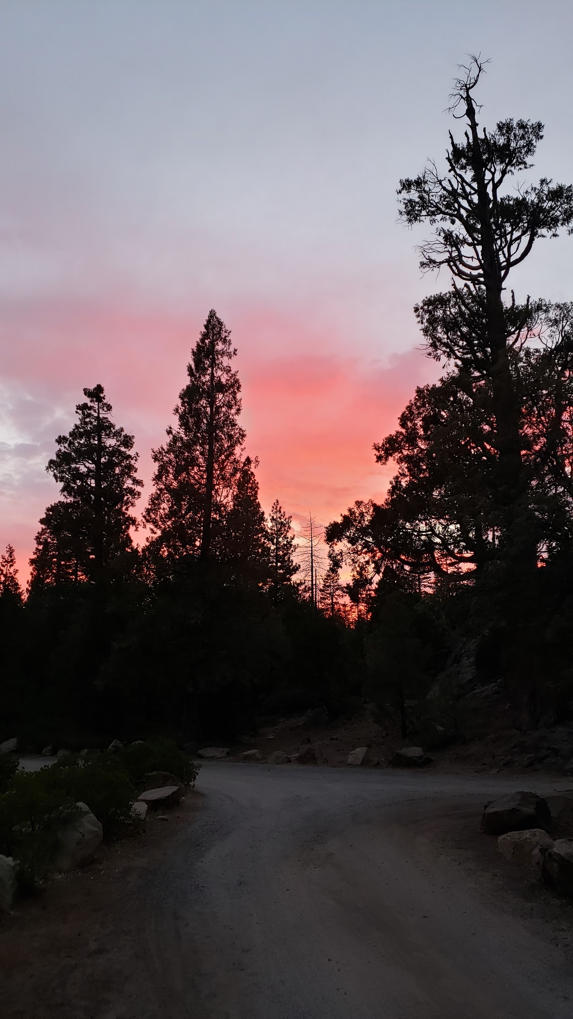 Airport Flat Campground