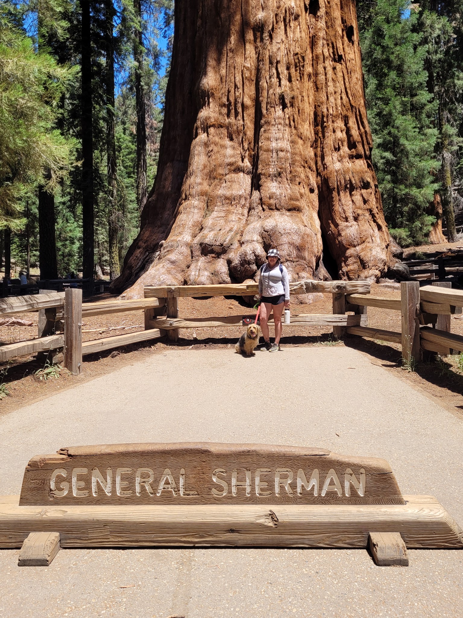 Sunset Campground (Ca)