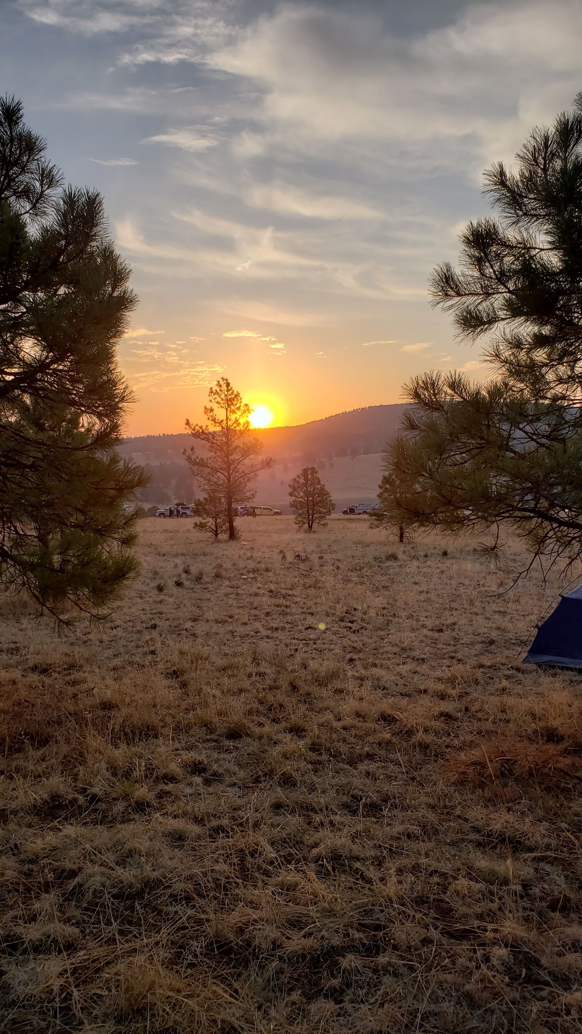 Dipping Vat Campground