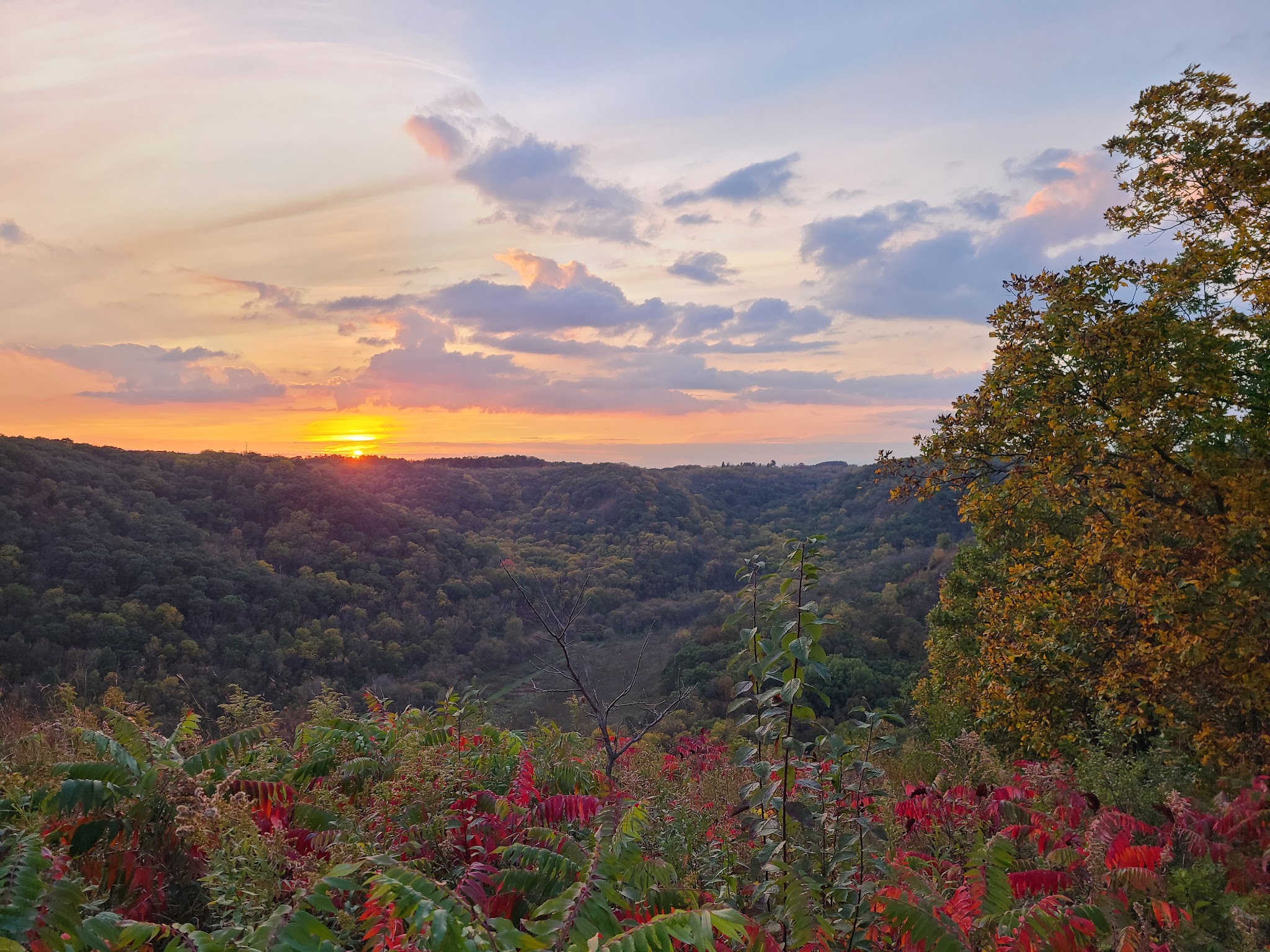 Camping in Driftless Area (Upper Mississippi)