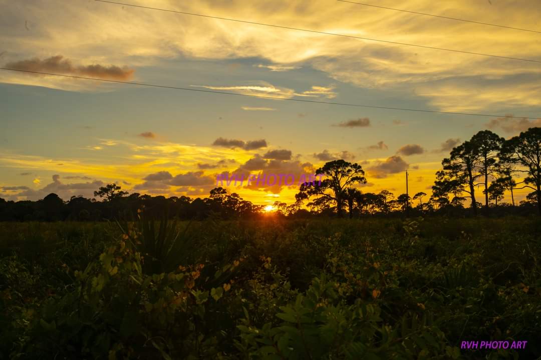 Oscar Scherer State Park Campground