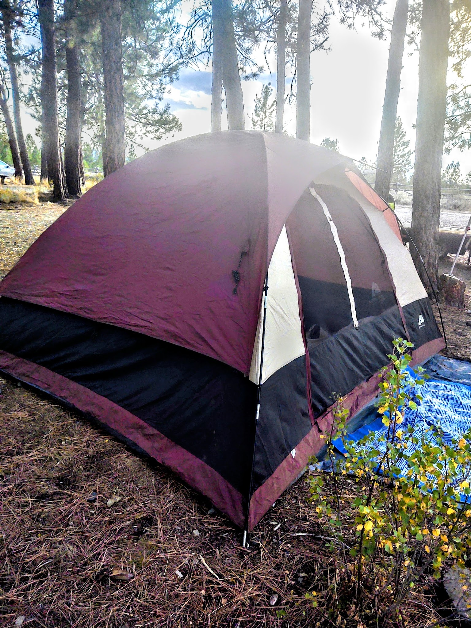 Millers Lane Campground