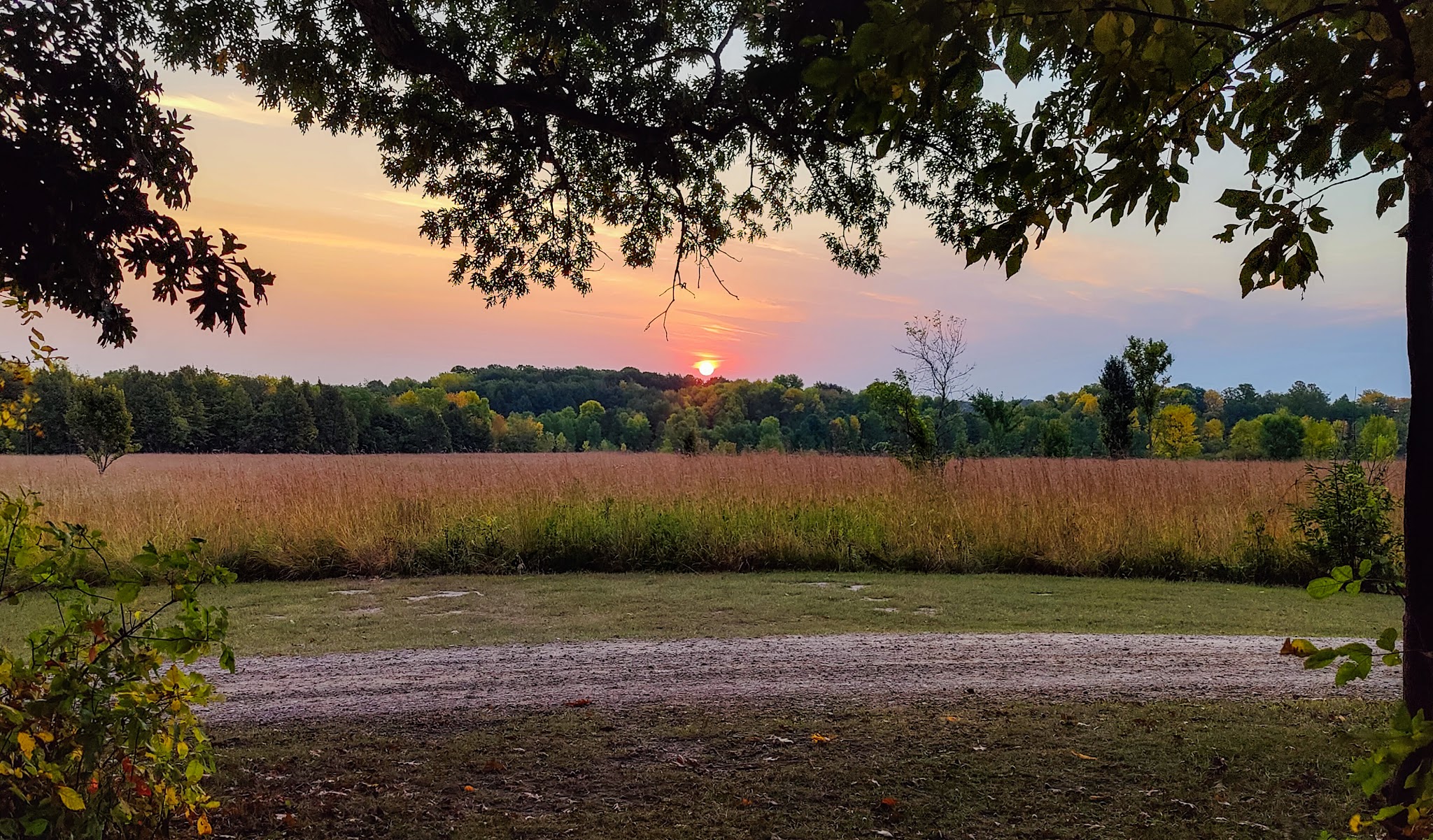 Rice Lake State Park
