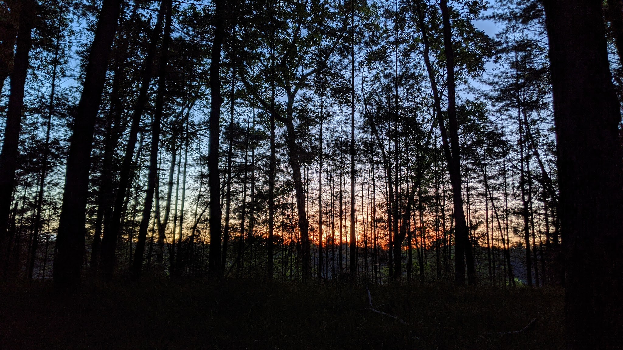 Leverentz Lake State Forest Campground