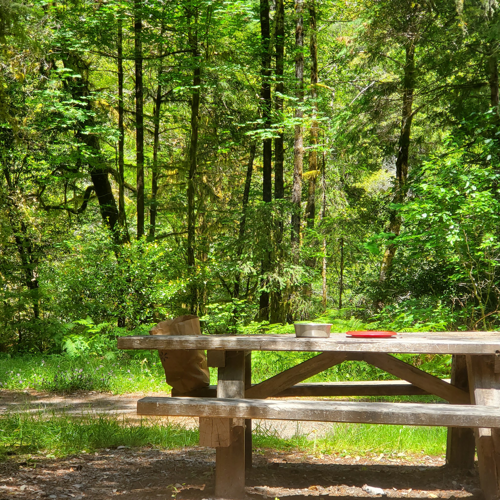 Sunshine Bar Campground