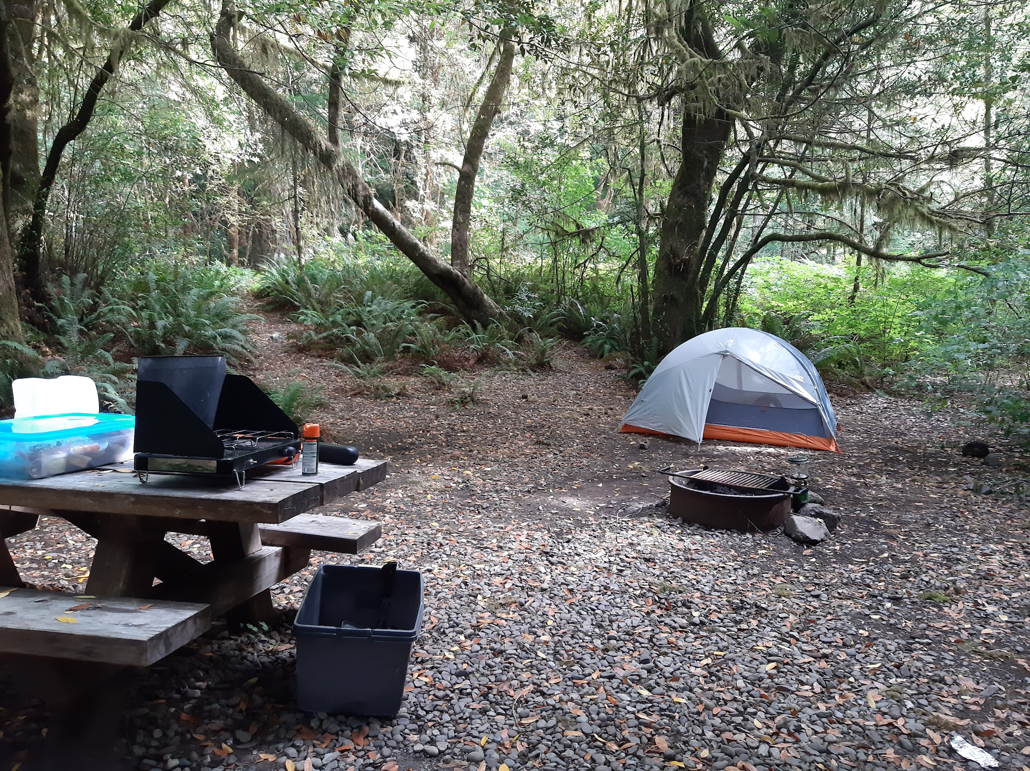 Sunshine Bar Campground