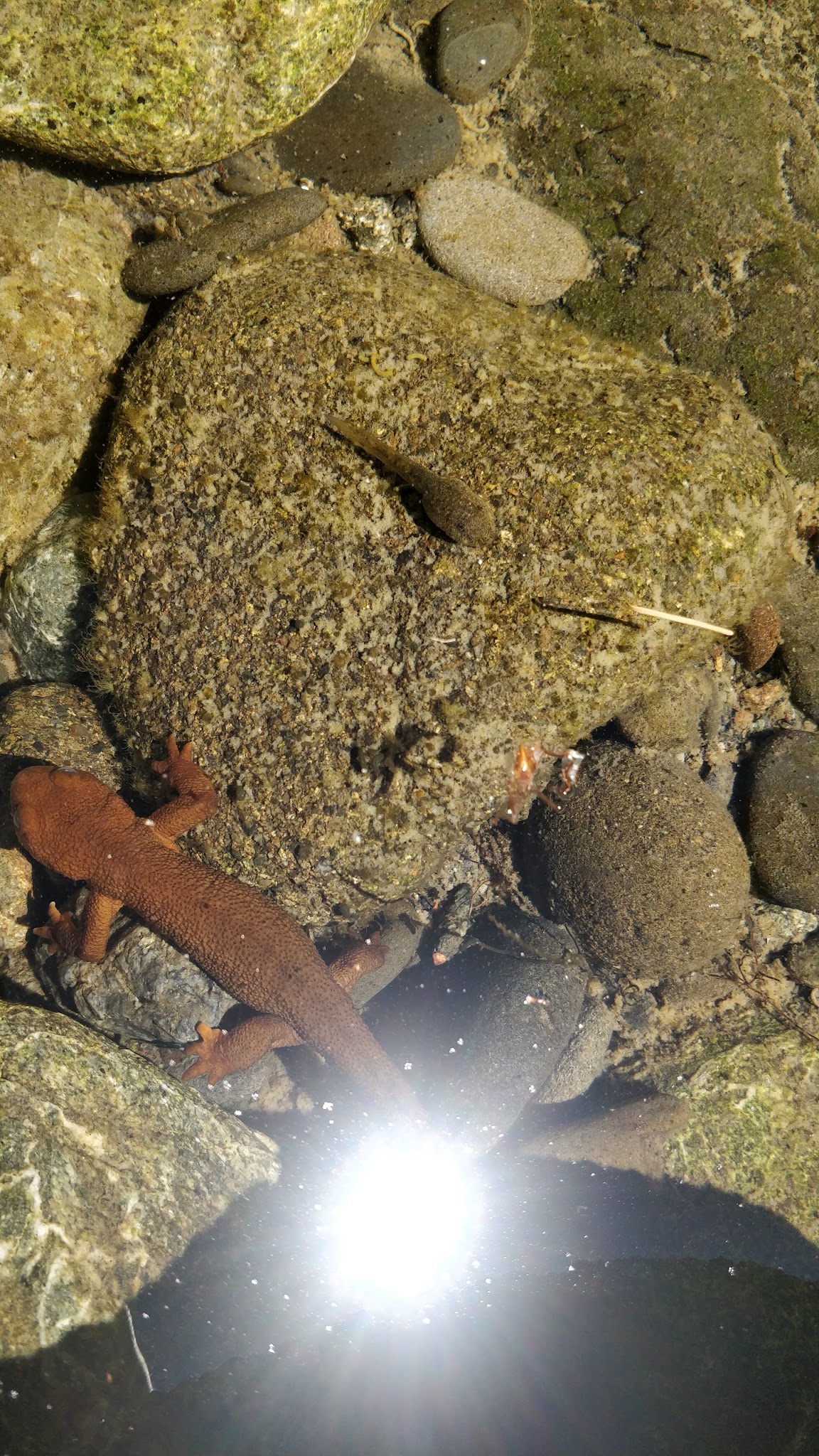 Sunshine Bar Campground