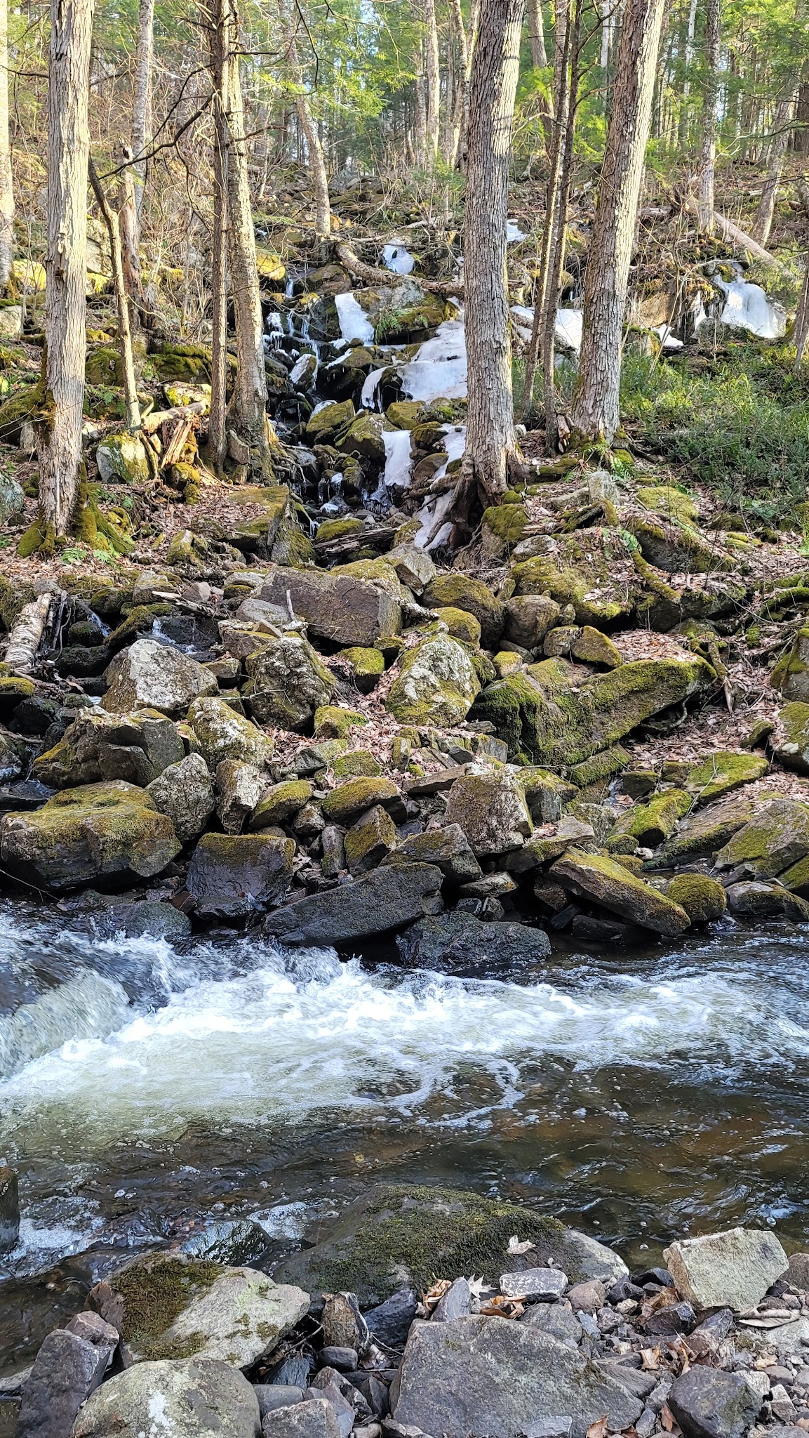 Surry Mountain Lake Campground