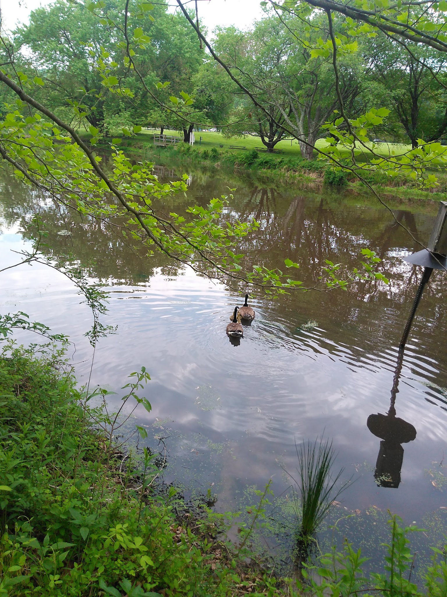Susquehanna State Park