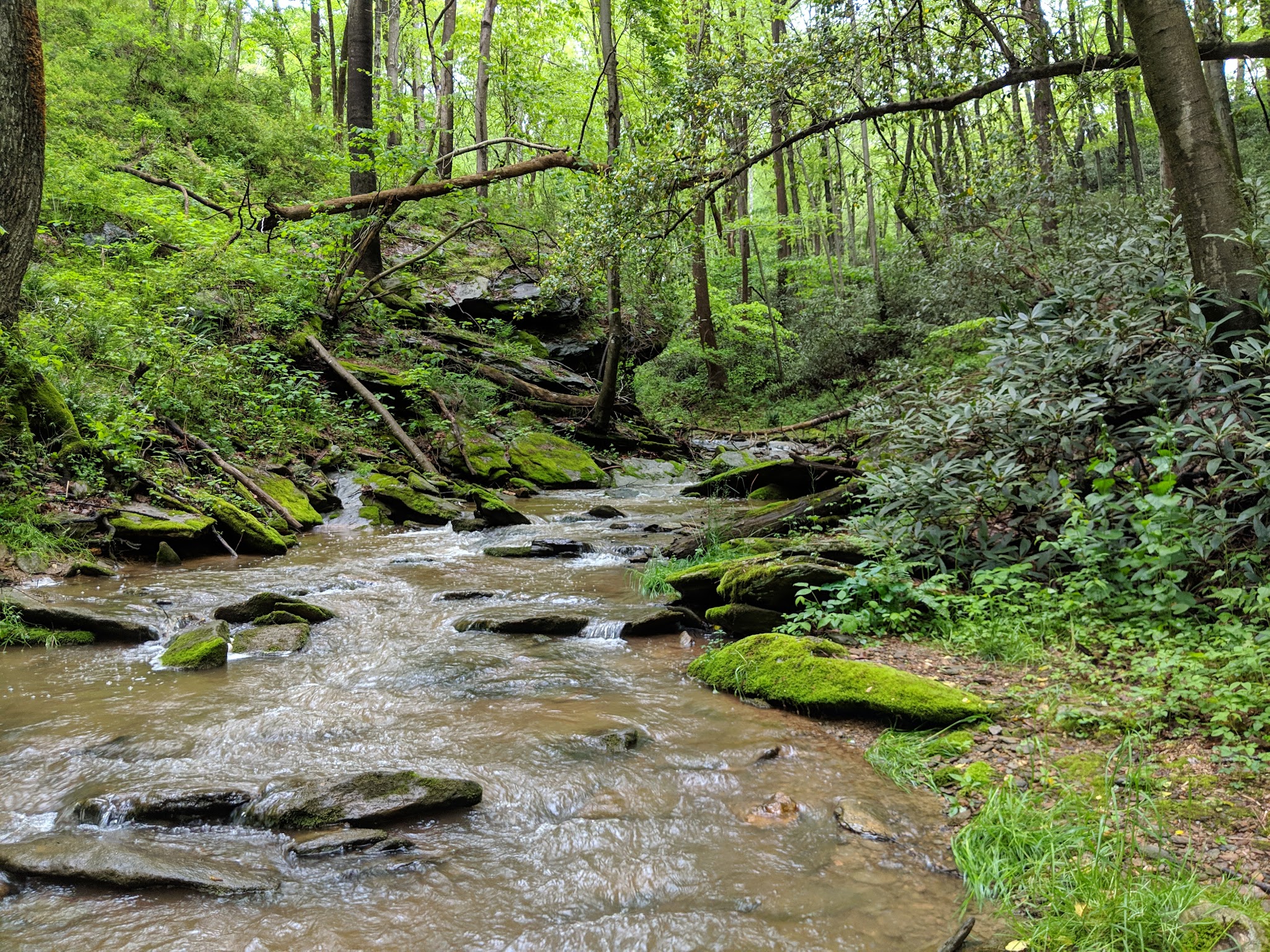 Susquehannock State Park
