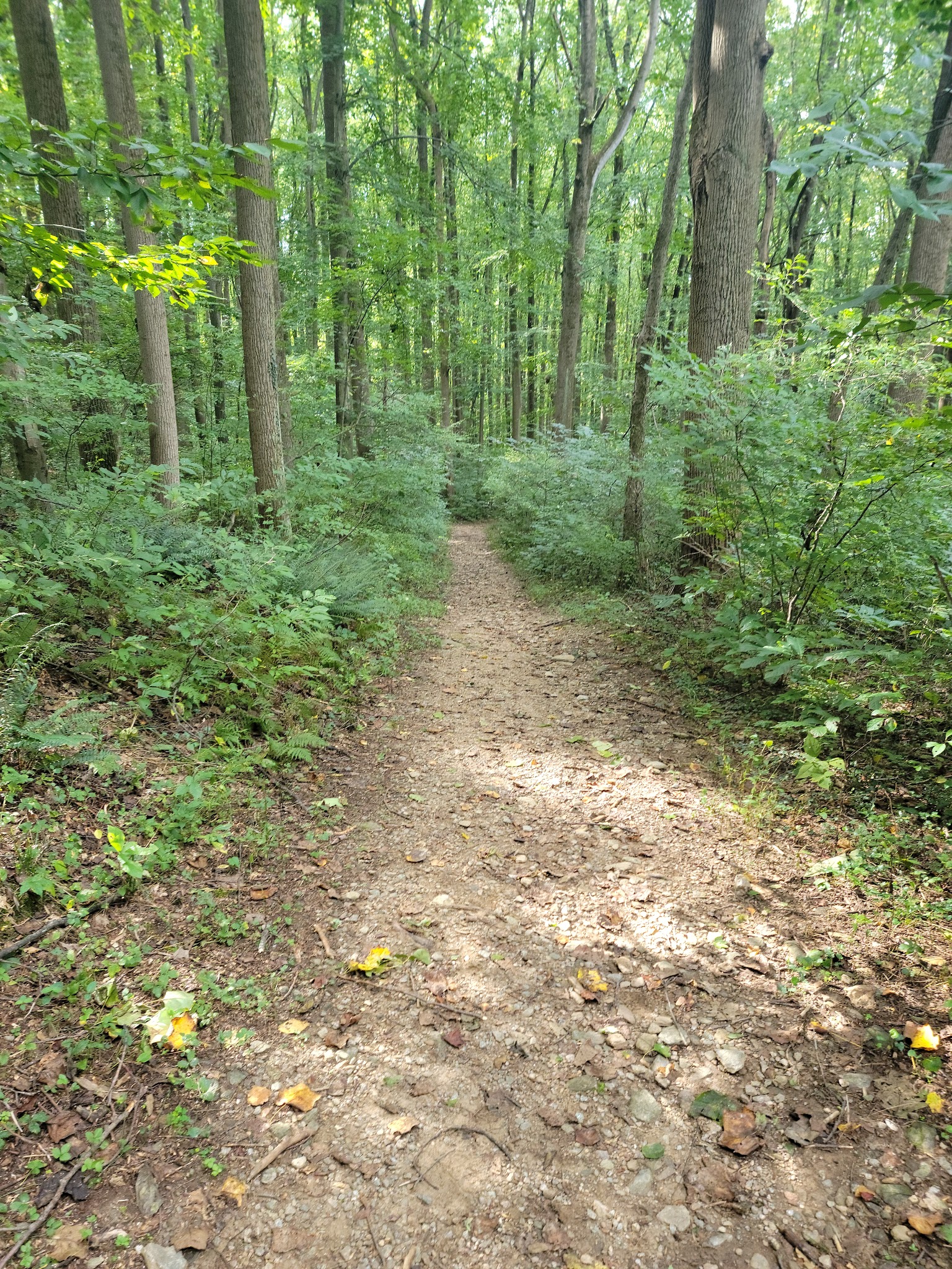 Susquehannock State Park