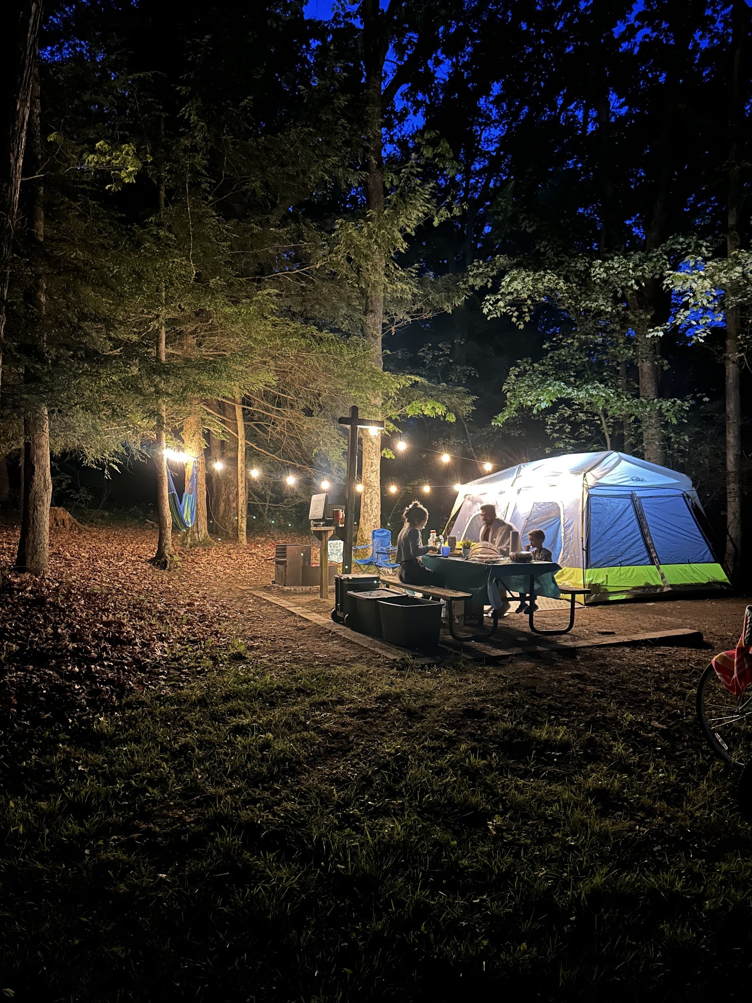 Swallow Falls State Park