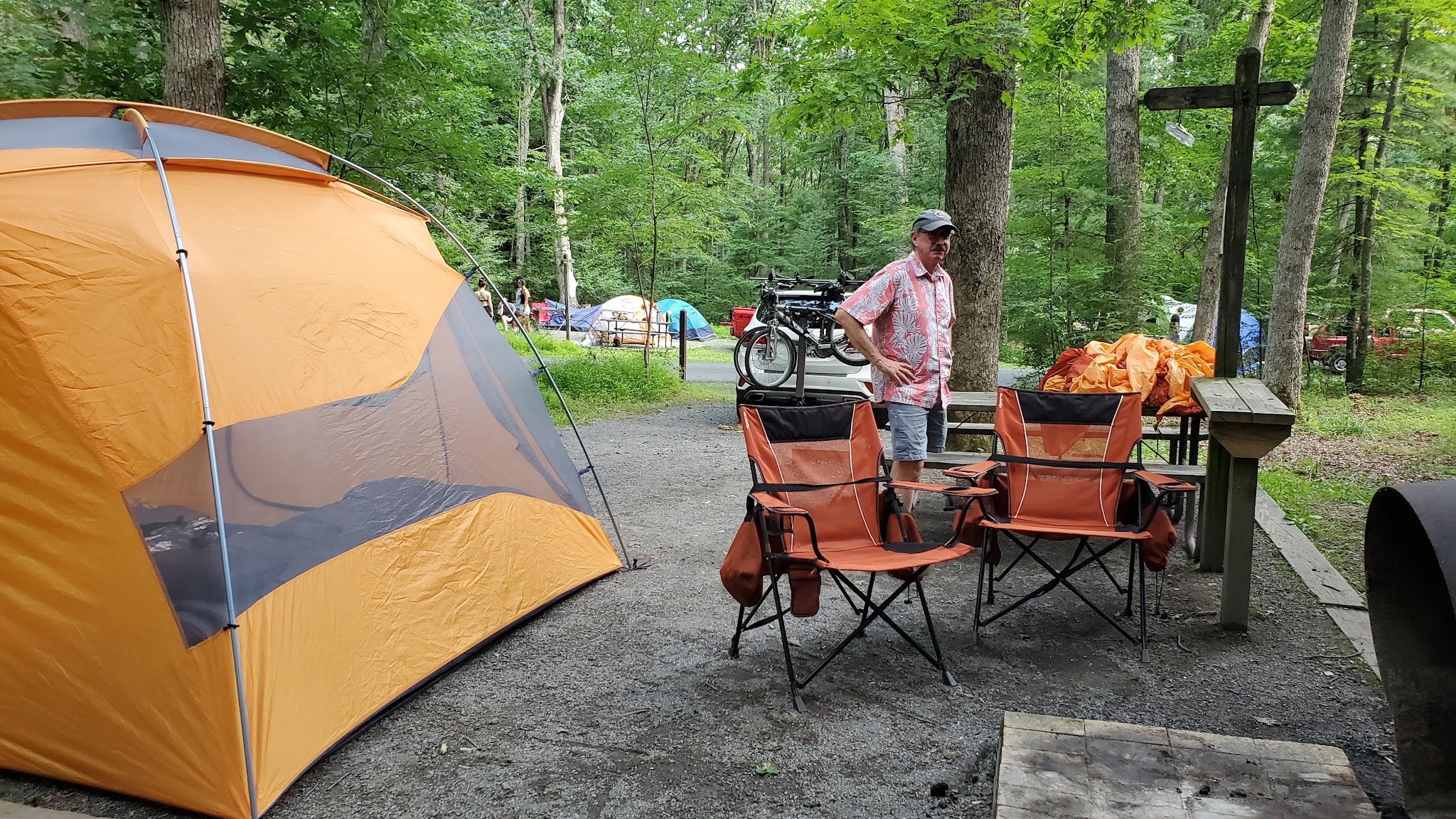 Swallow Falls State Park